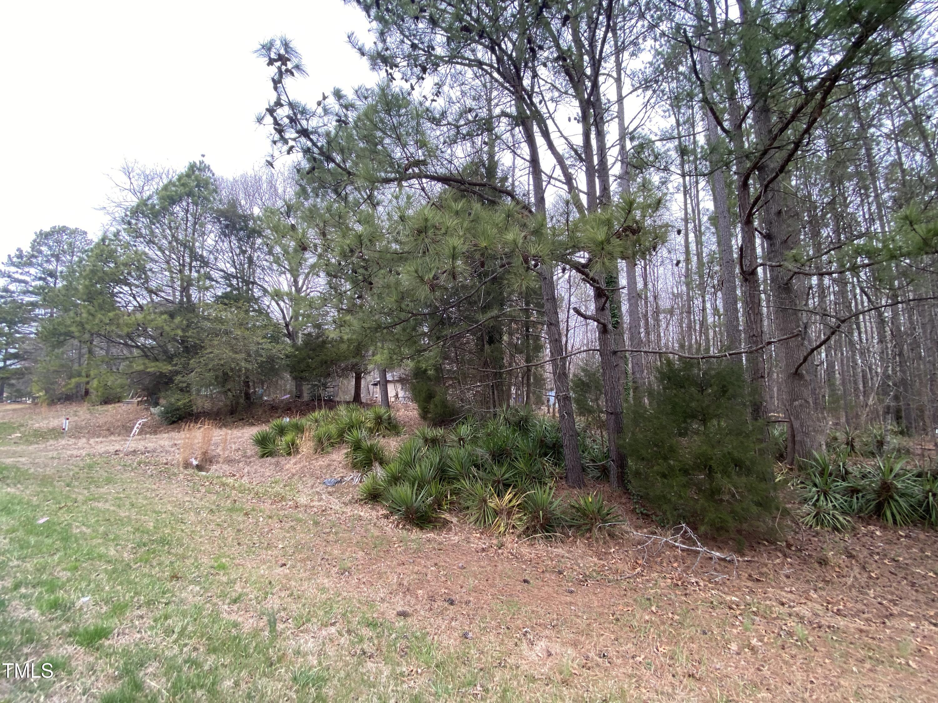 4619 N Carolina Hwy 54 W