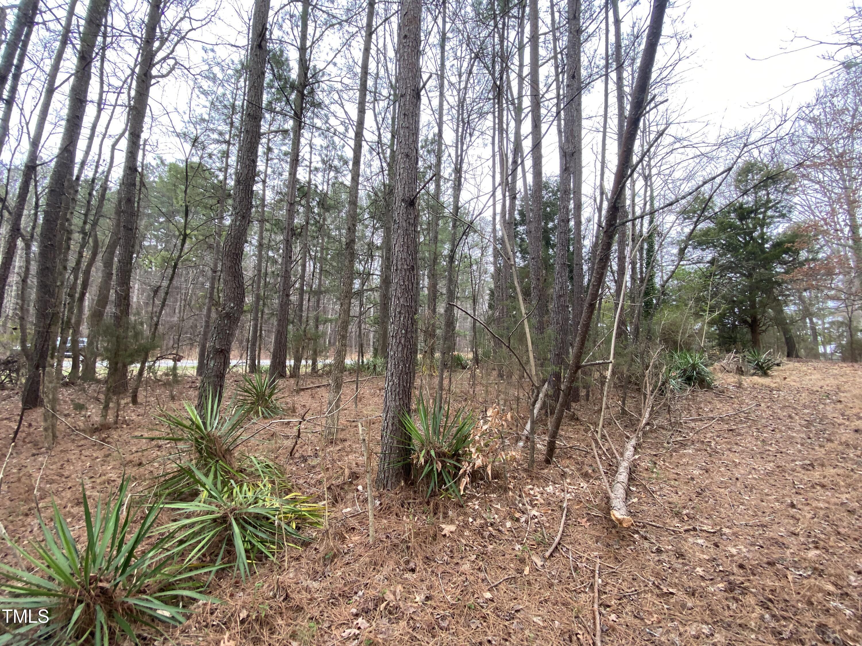 4619 N Carolina Hwy 54 W
