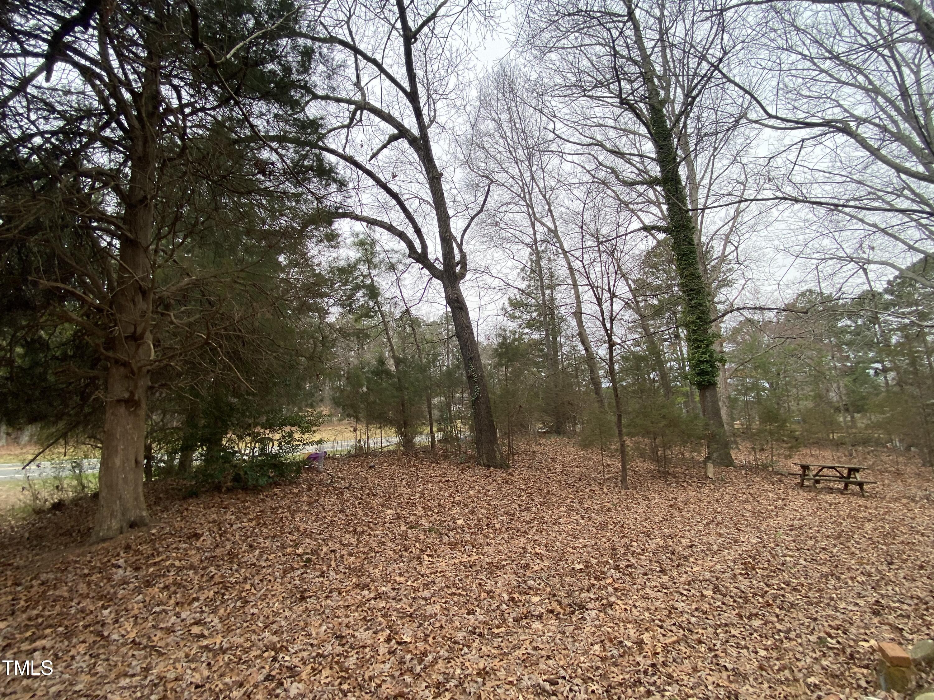 4619 N Carolina Hwy 54 W