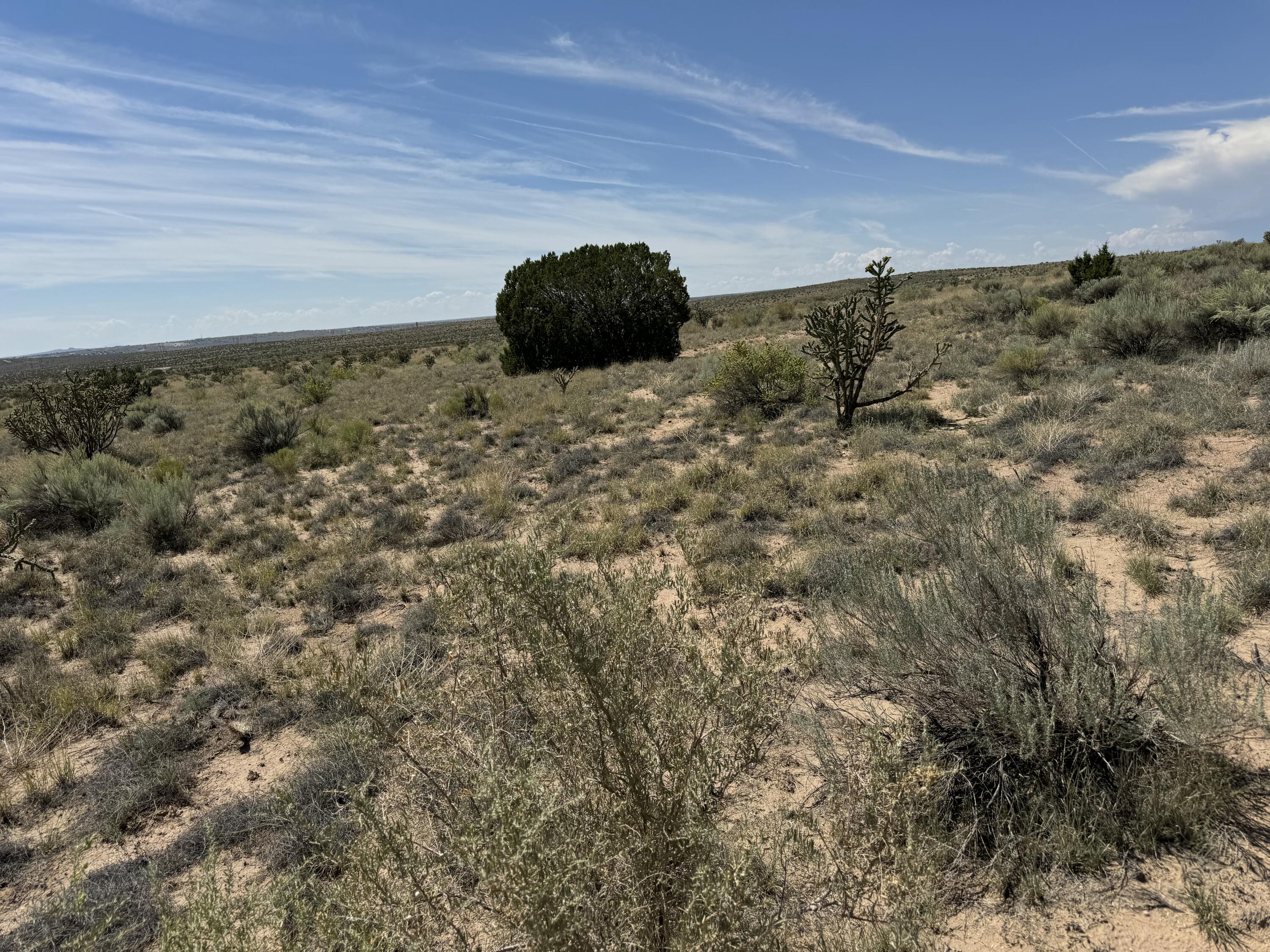 2009-2021 Barooa Loop NE