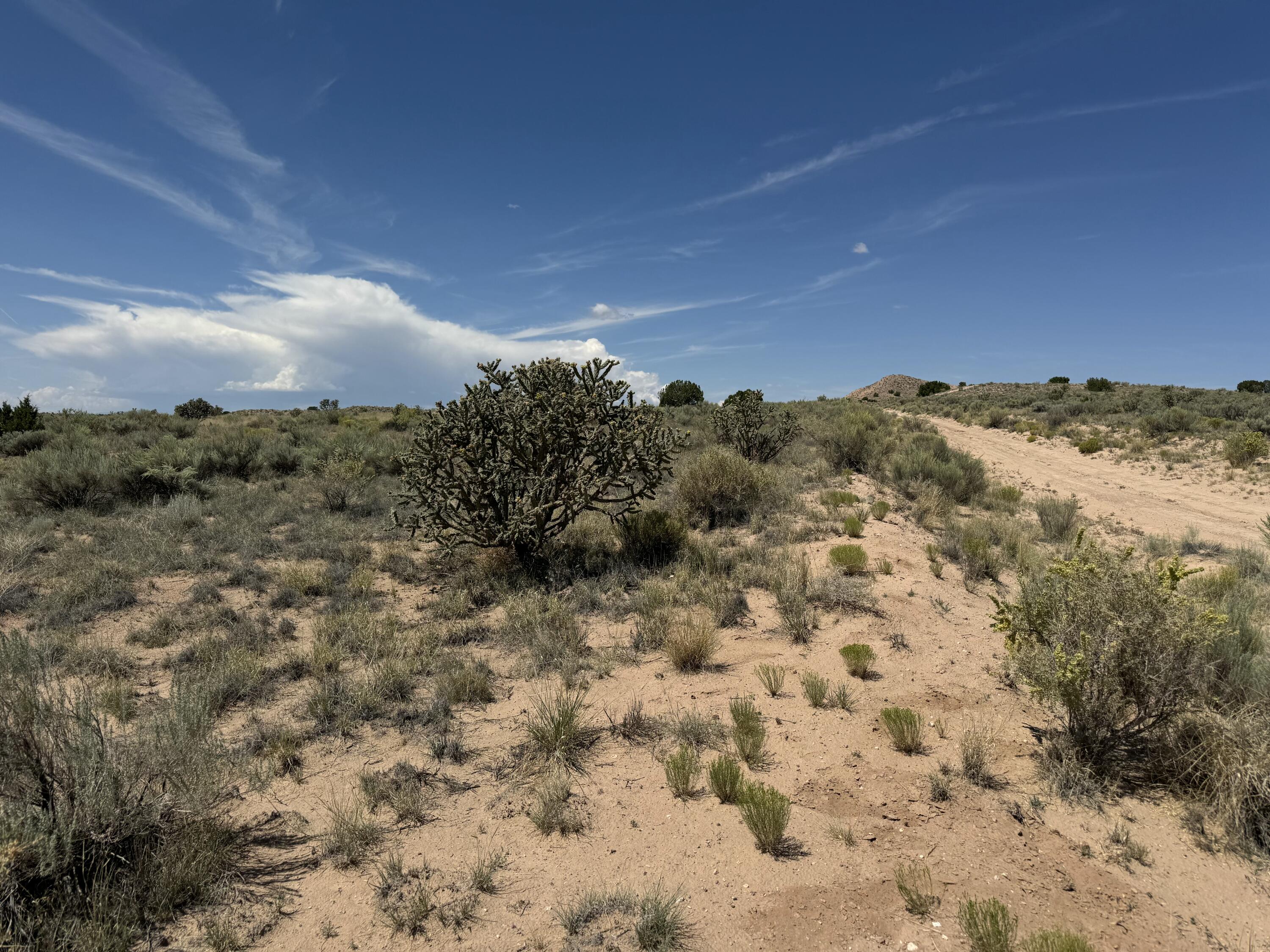 2009-2021 Barooa Loop NE