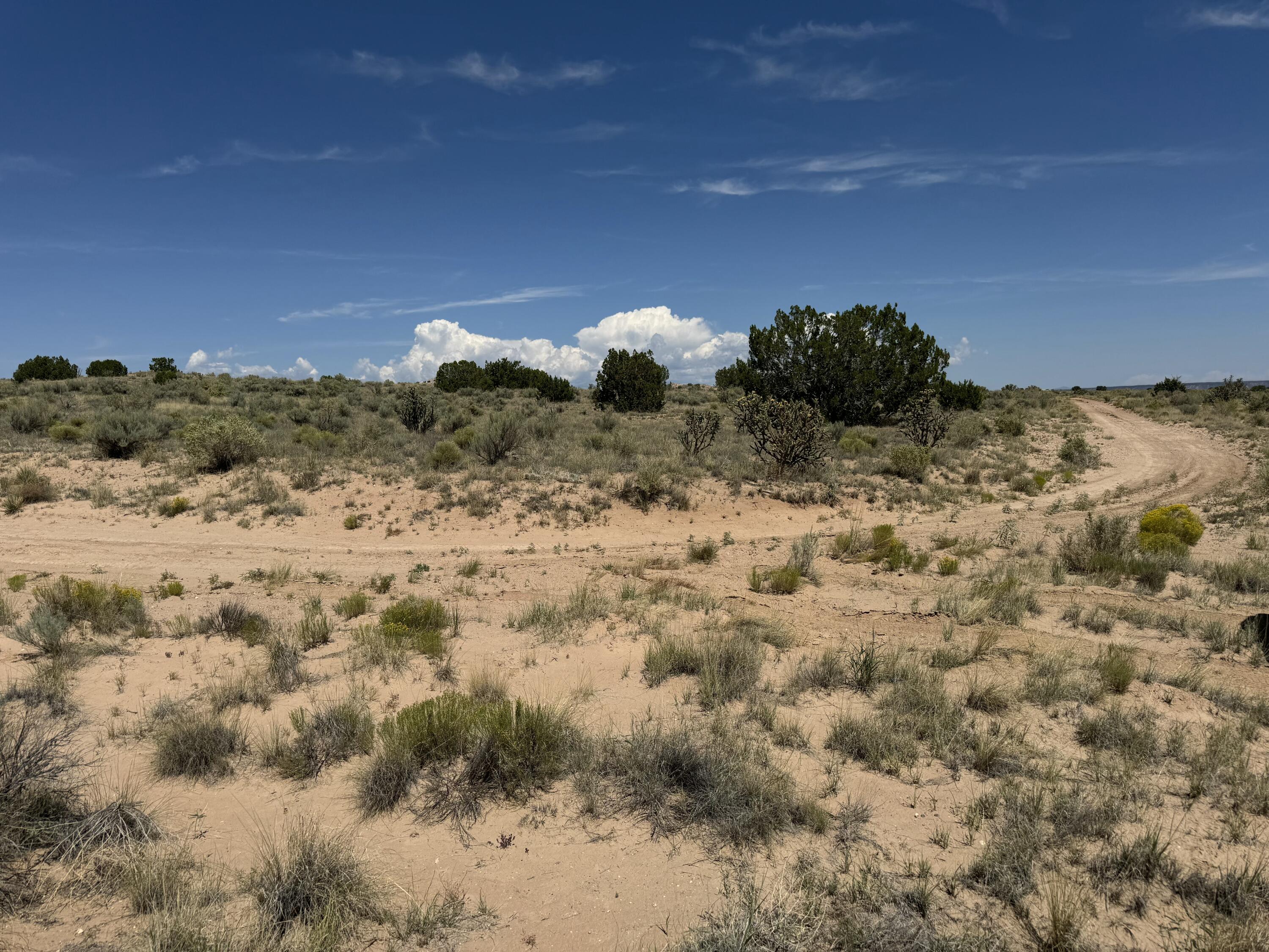 2009-2021 Barooa Loop NE