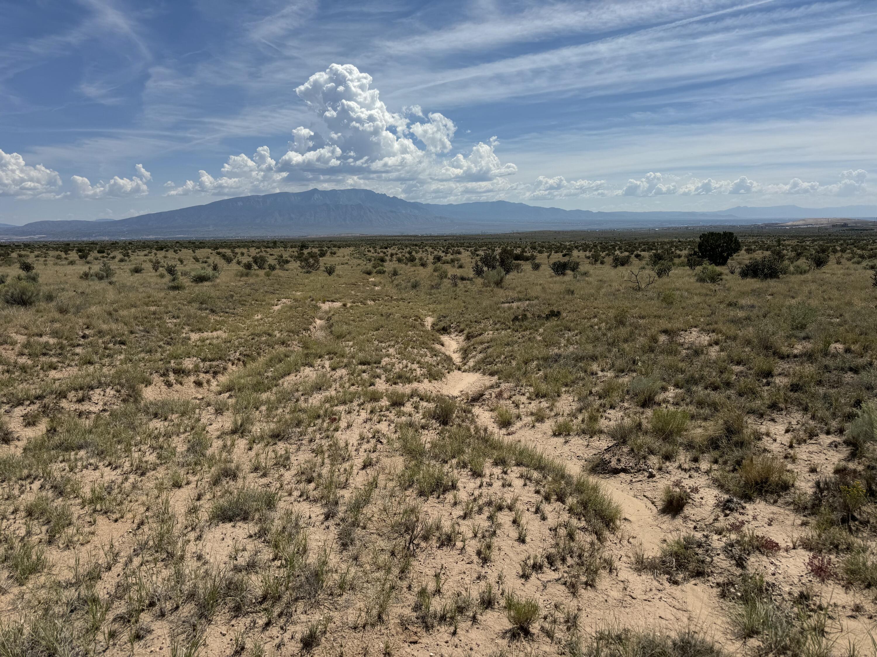 2009-2021 Barooa Loop NE