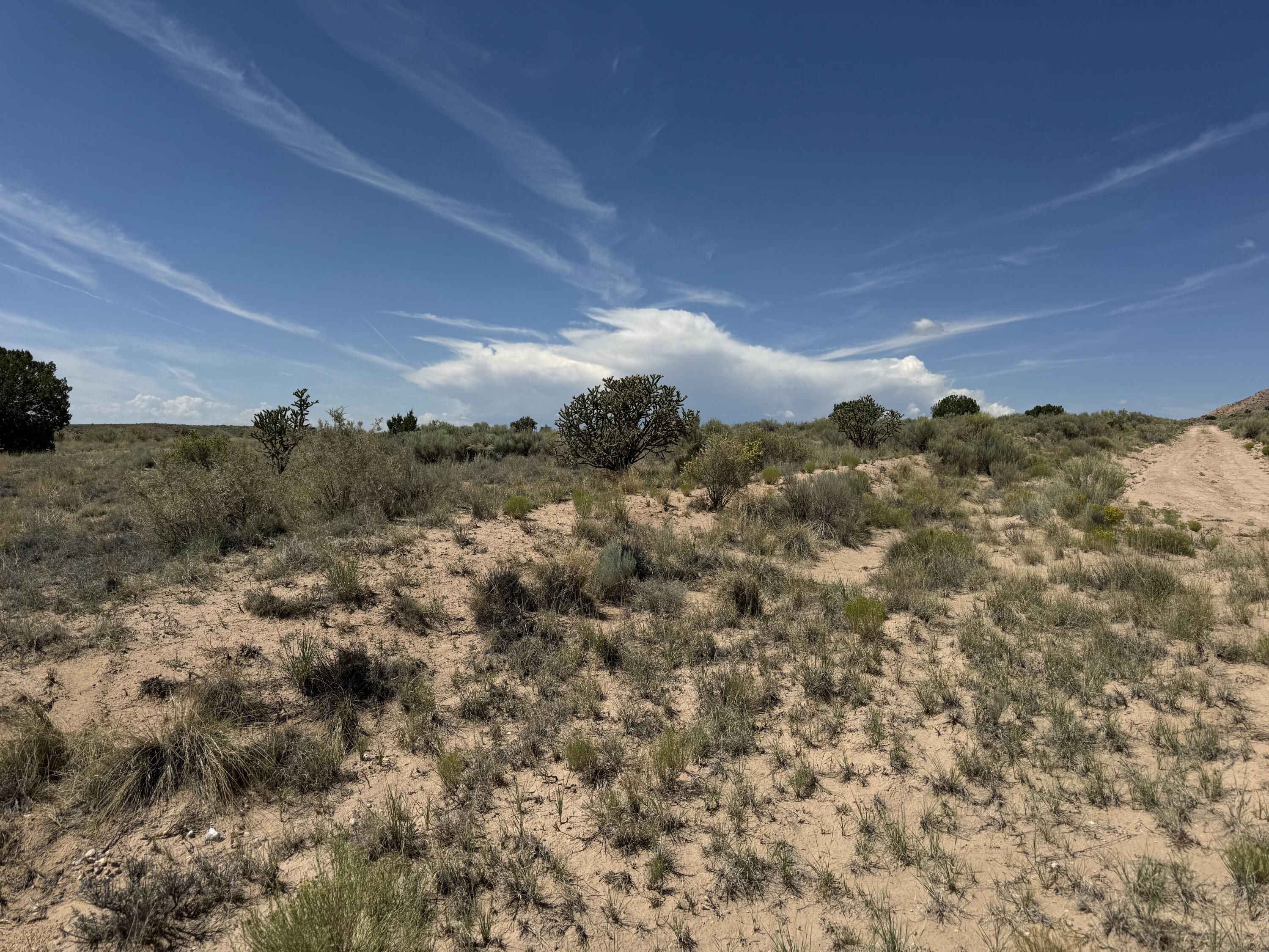 2009-2021 Barooa Loop NE