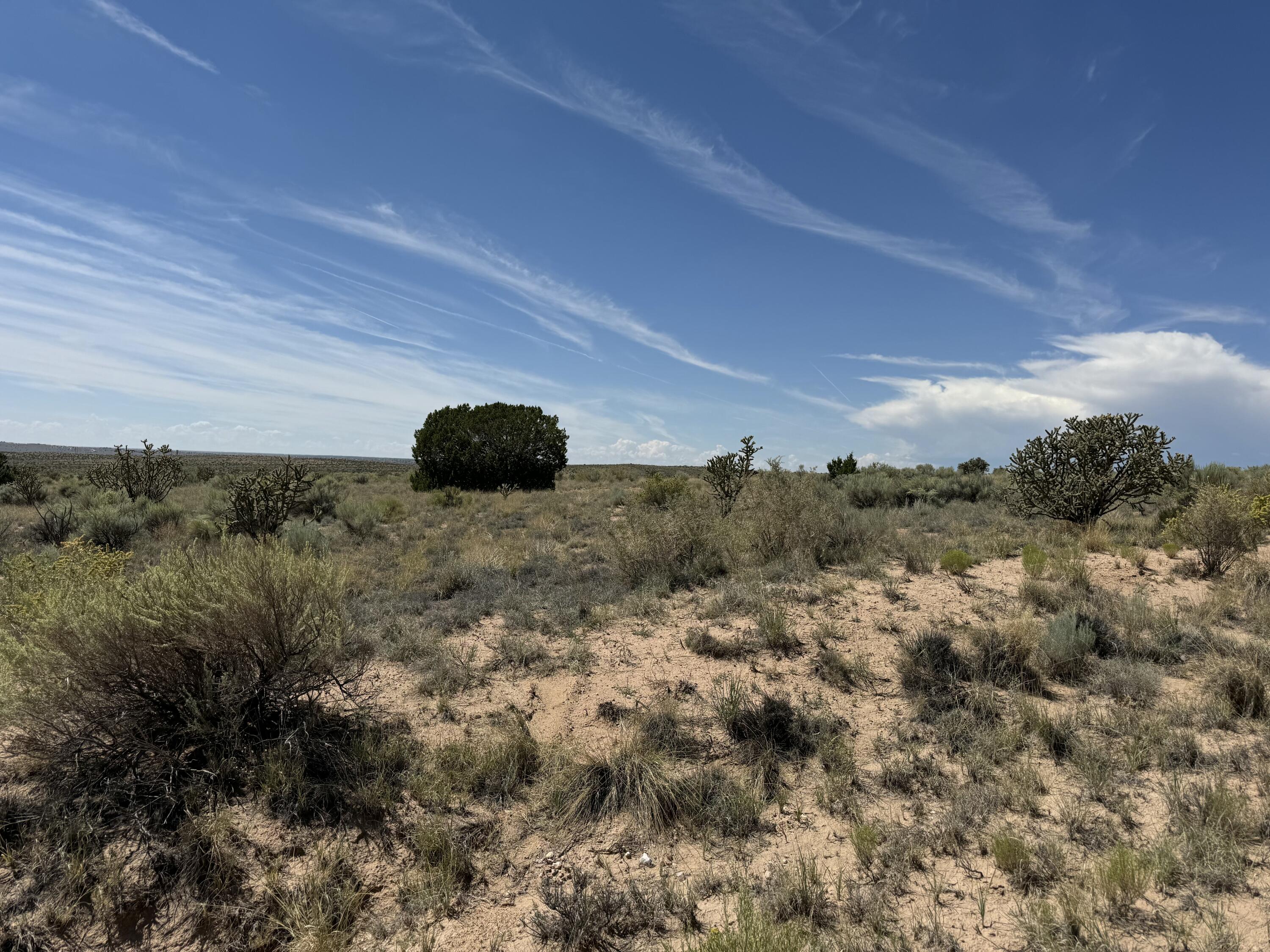 2009-2021 Barooa Loop NE