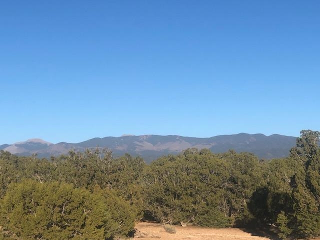 12 Green Meadow Loop, Lot 380