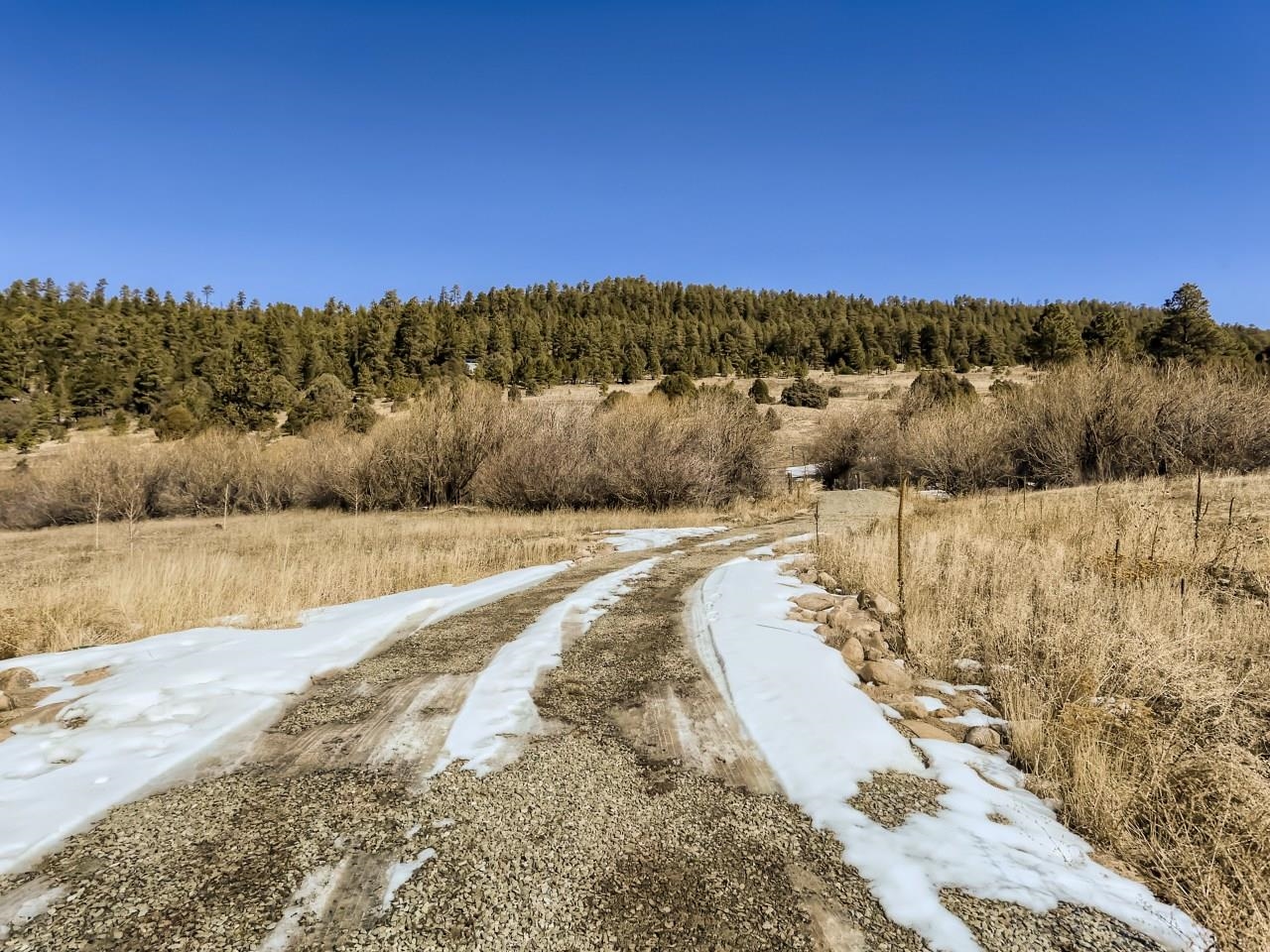 565 Highway 75
