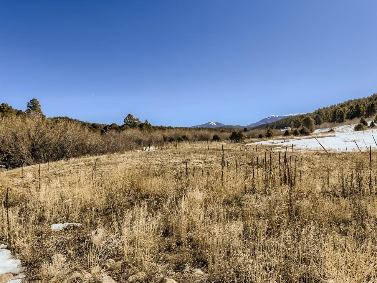 565 Highway 75
