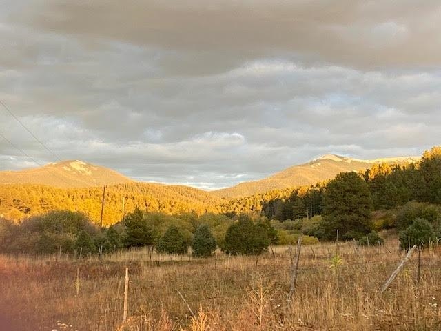 565 Highway 75