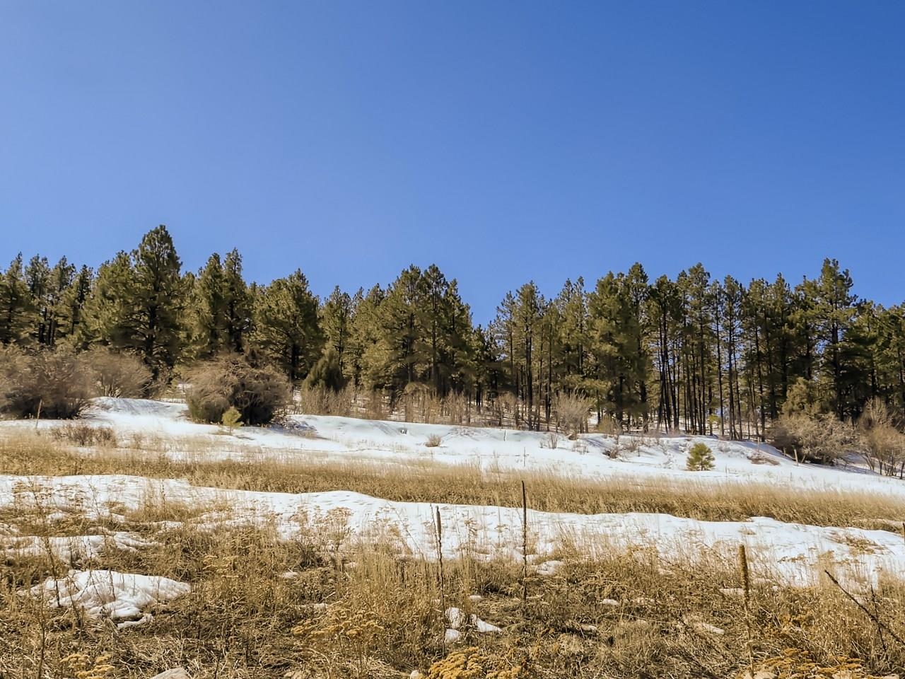 565 Highway 75
