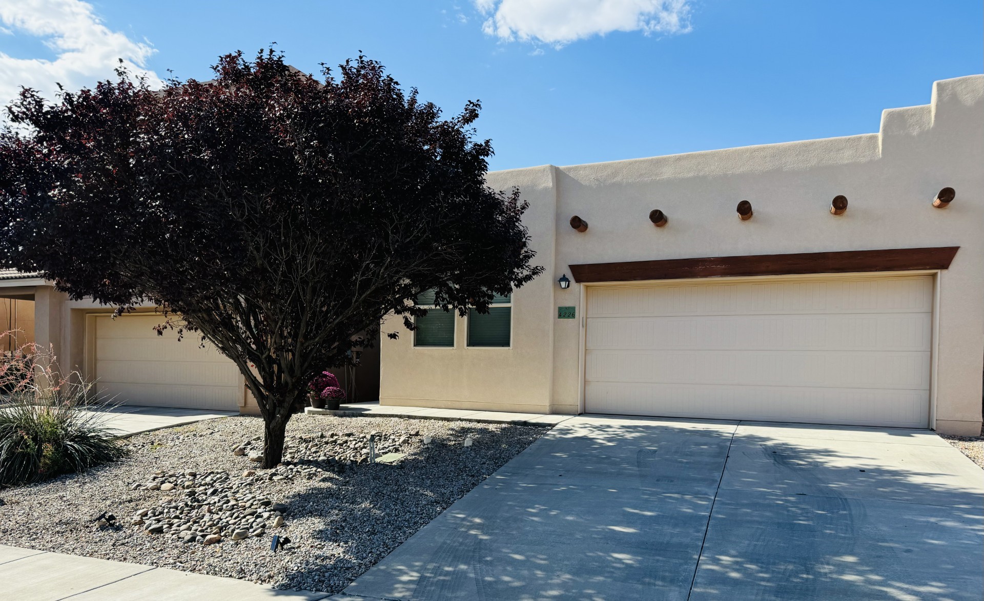 4226 Luz De Estrella