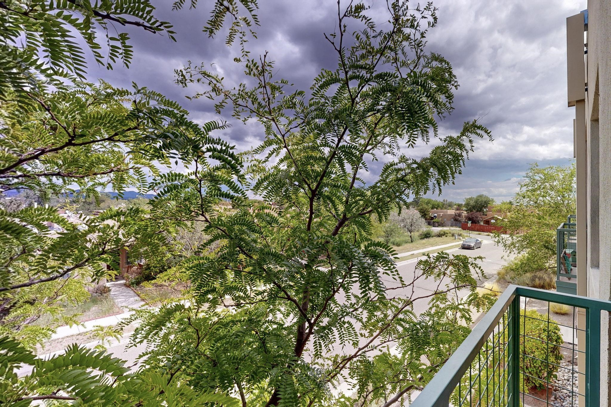 6005 Jaguar Drive 203