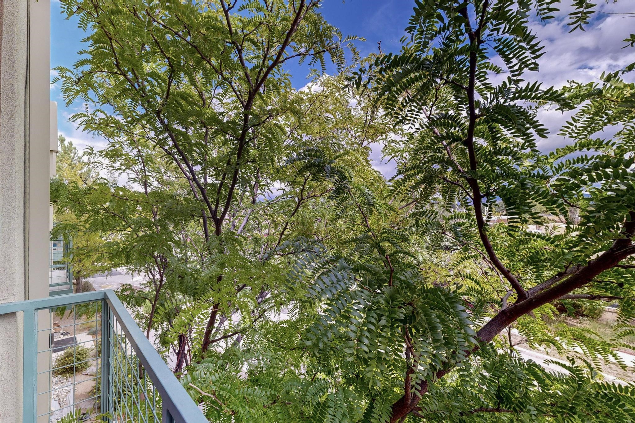 6005 Jaguar Drive 203