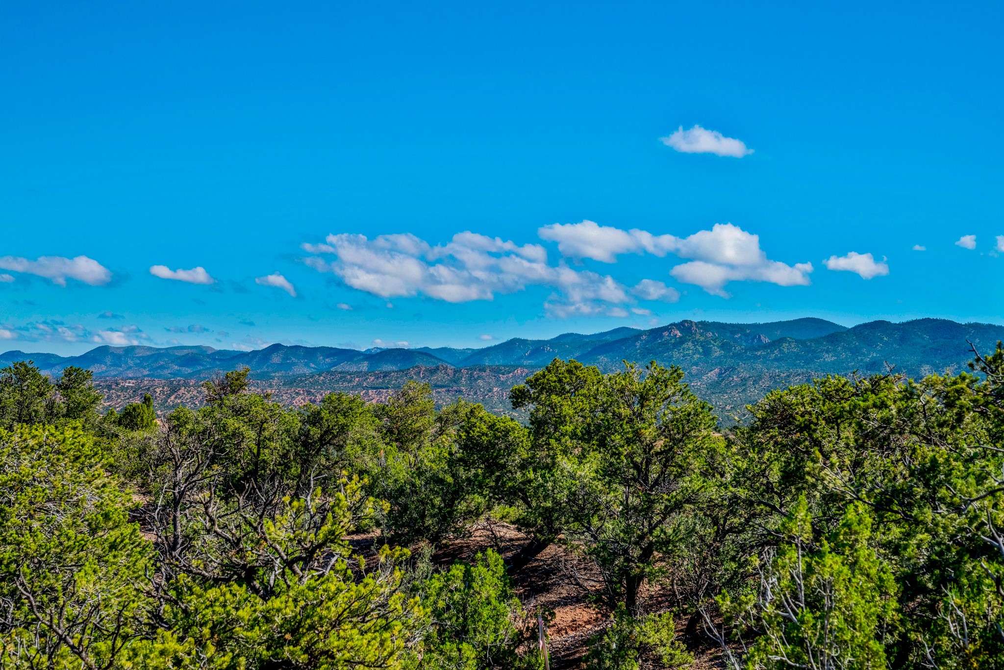56 Tesuque Ridge