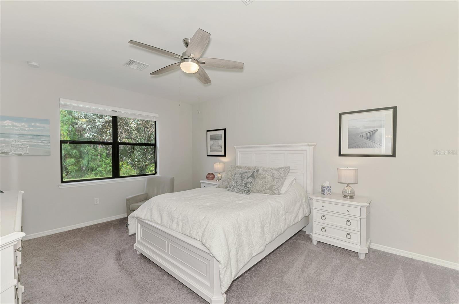 11976 BLAZING STAR DR