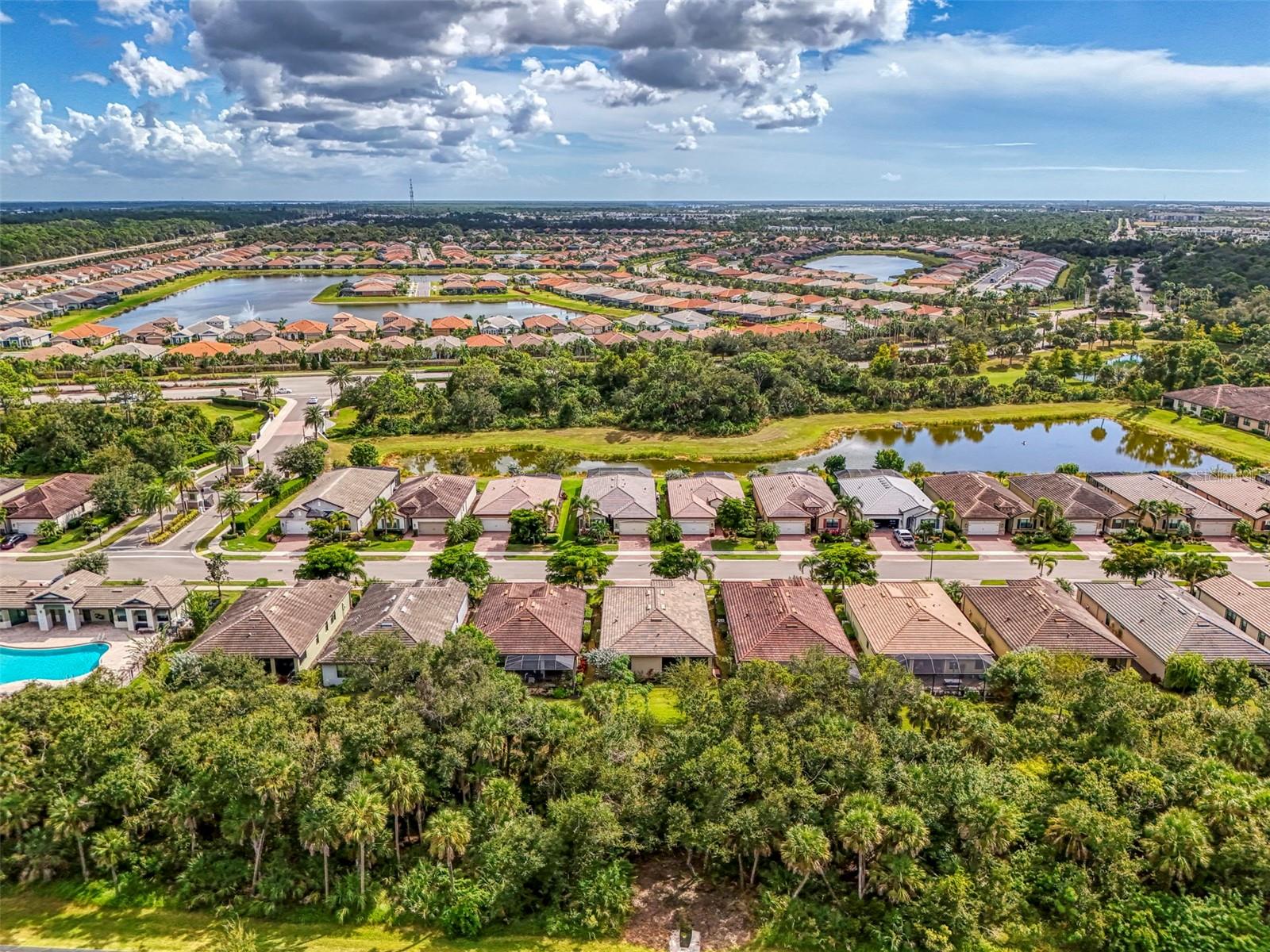 11976 BLAZING STAR DR