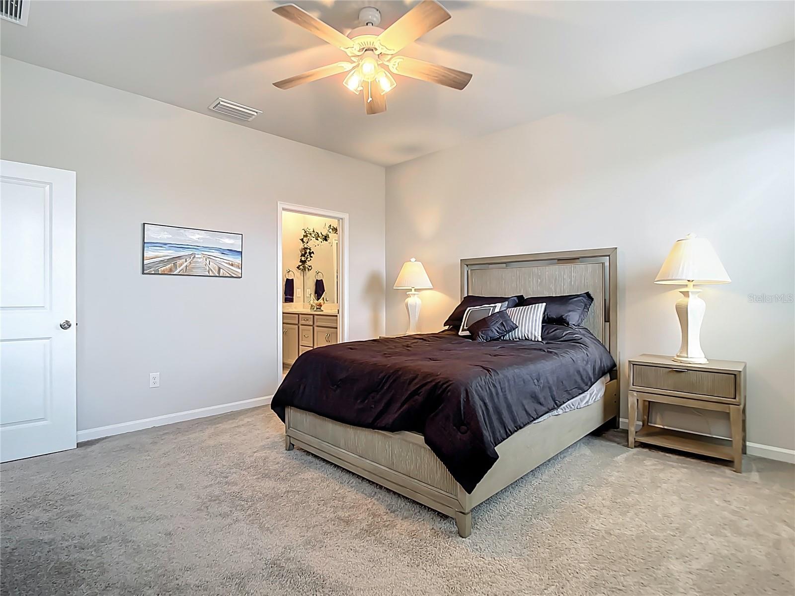 11682 SISTINE LN