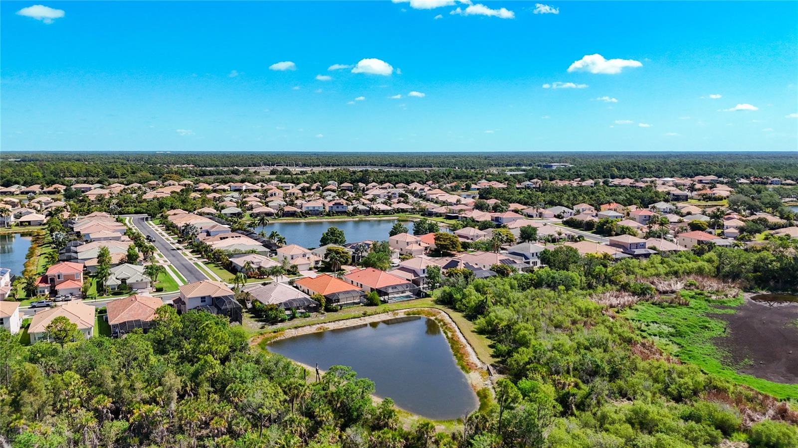 11603 DANCING RIVER DR