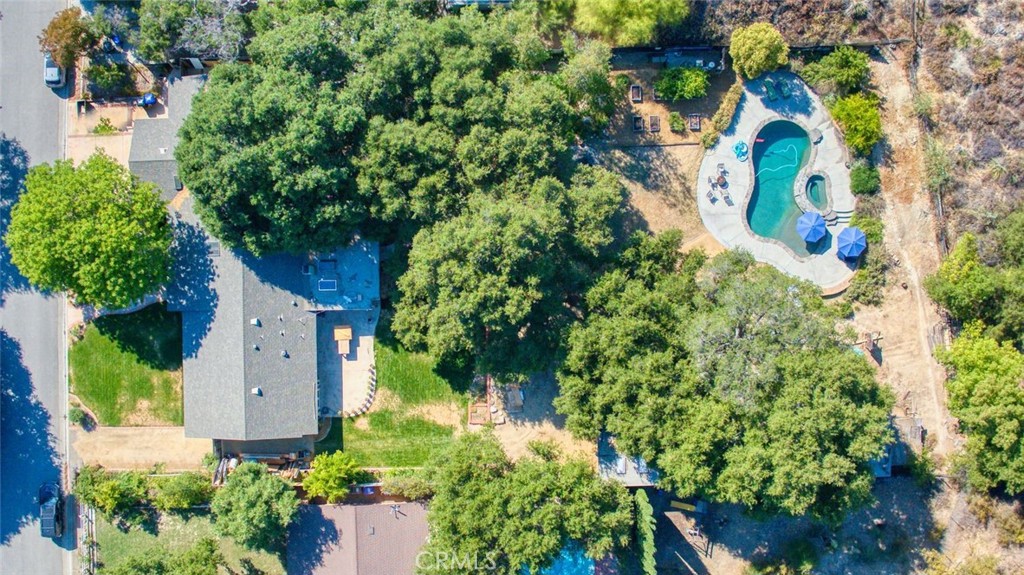 15833 Warm Springs Dr