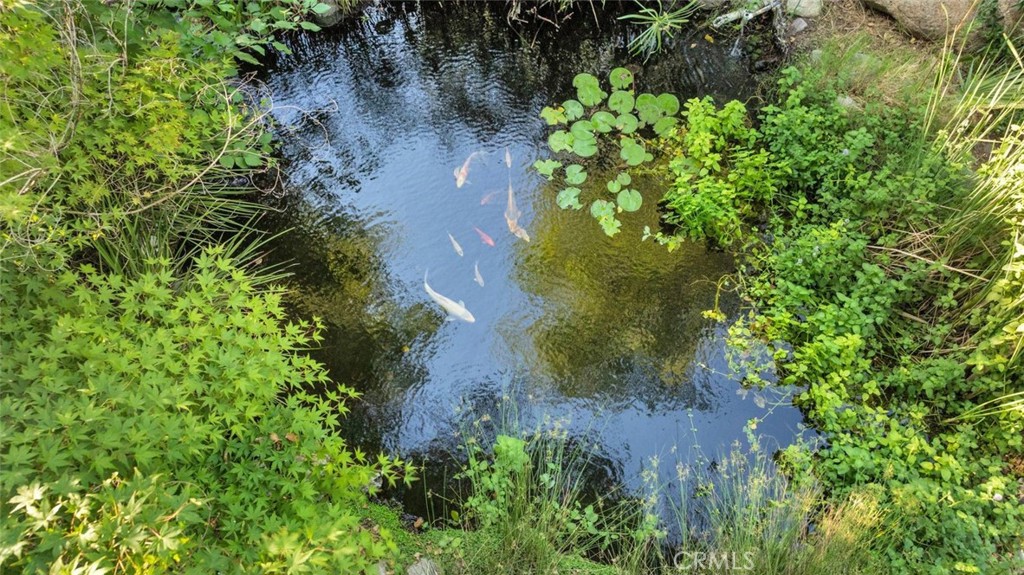 15833 Warm Springs Dr