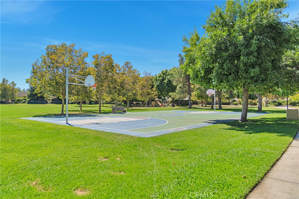26030 Tampico Drive