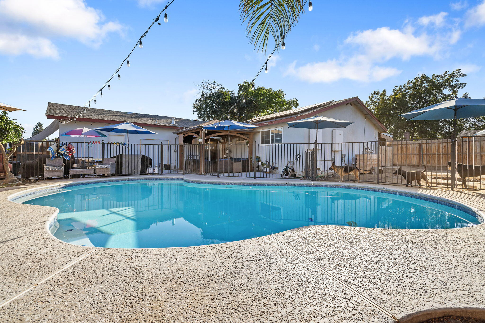 1134 W Harter Avenue