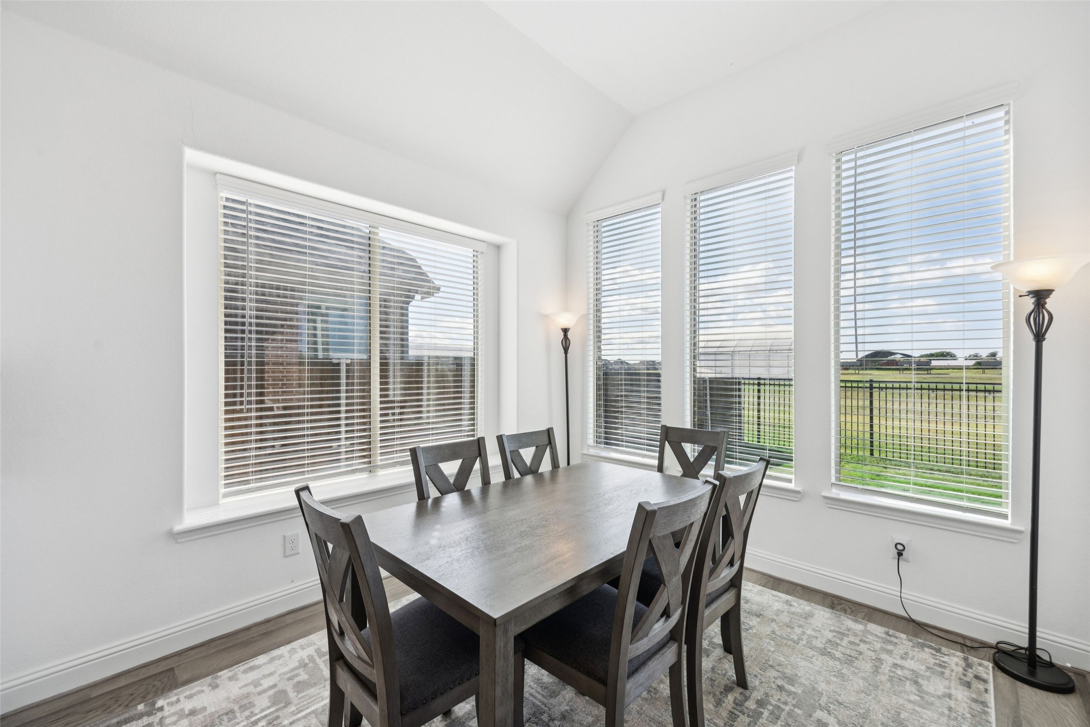 17311 Texas Pistache Drive