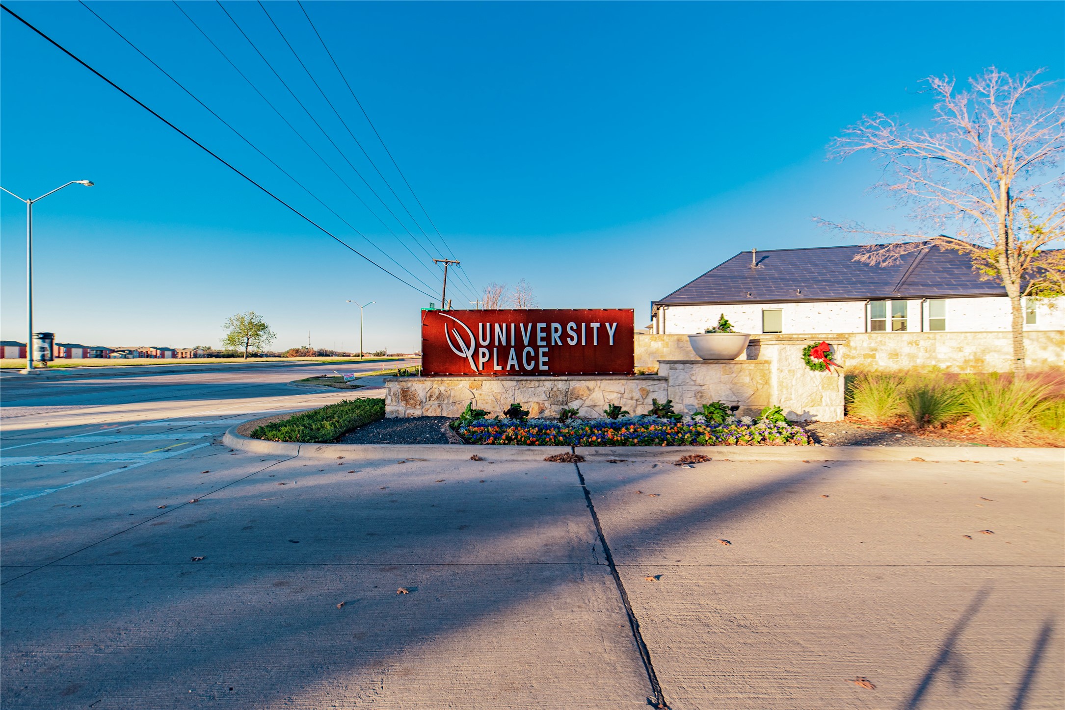 17311 Texas Pistache Drive