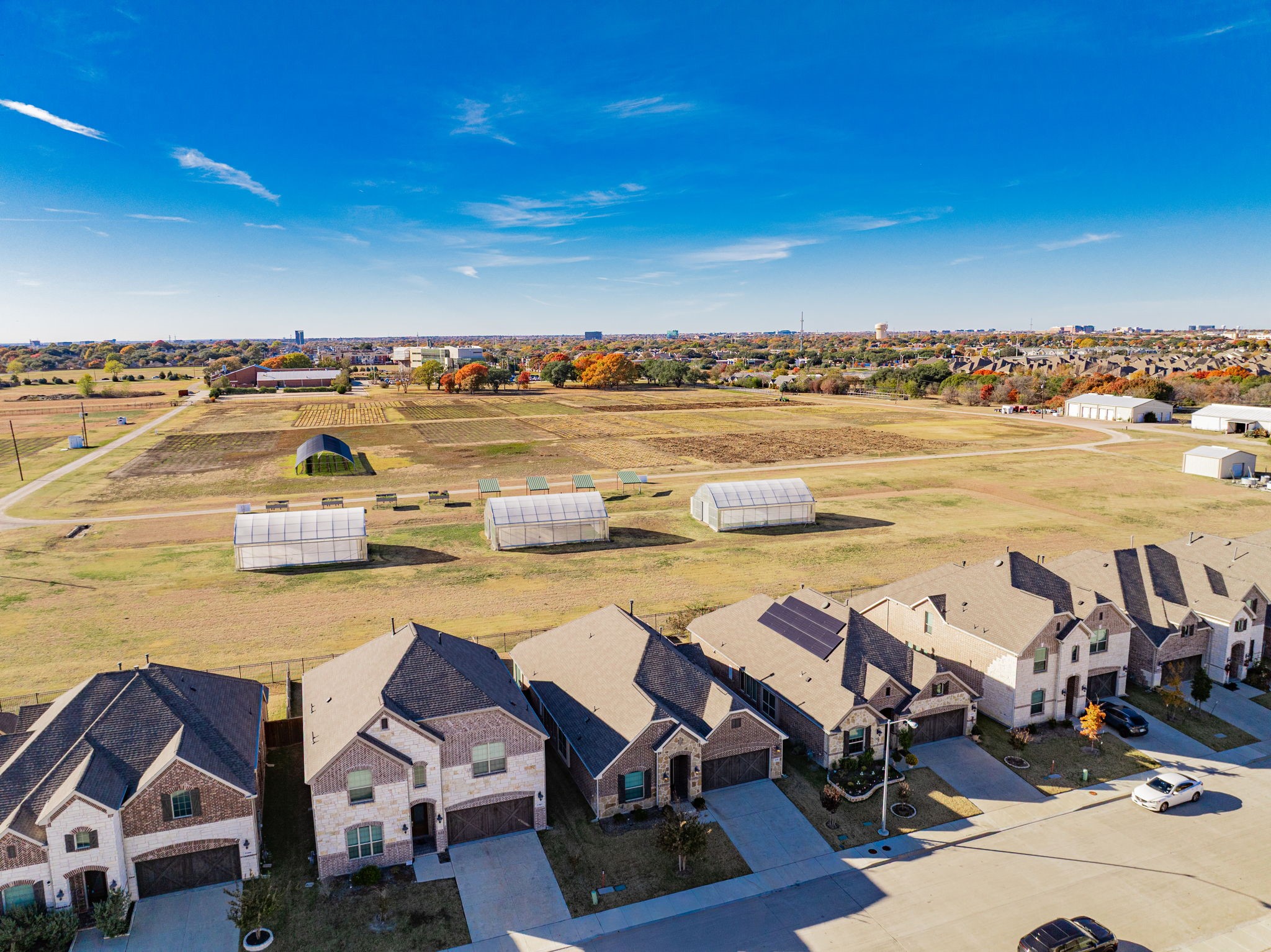 17311 Texas Pistache Drive