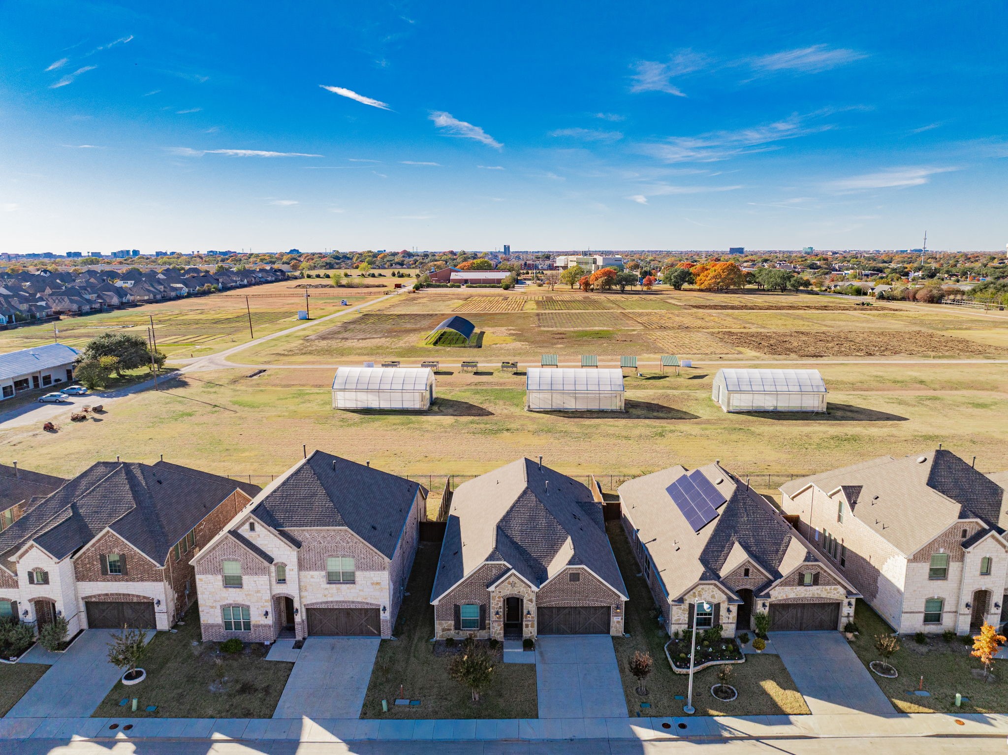 17311 Texas Pistache Drive