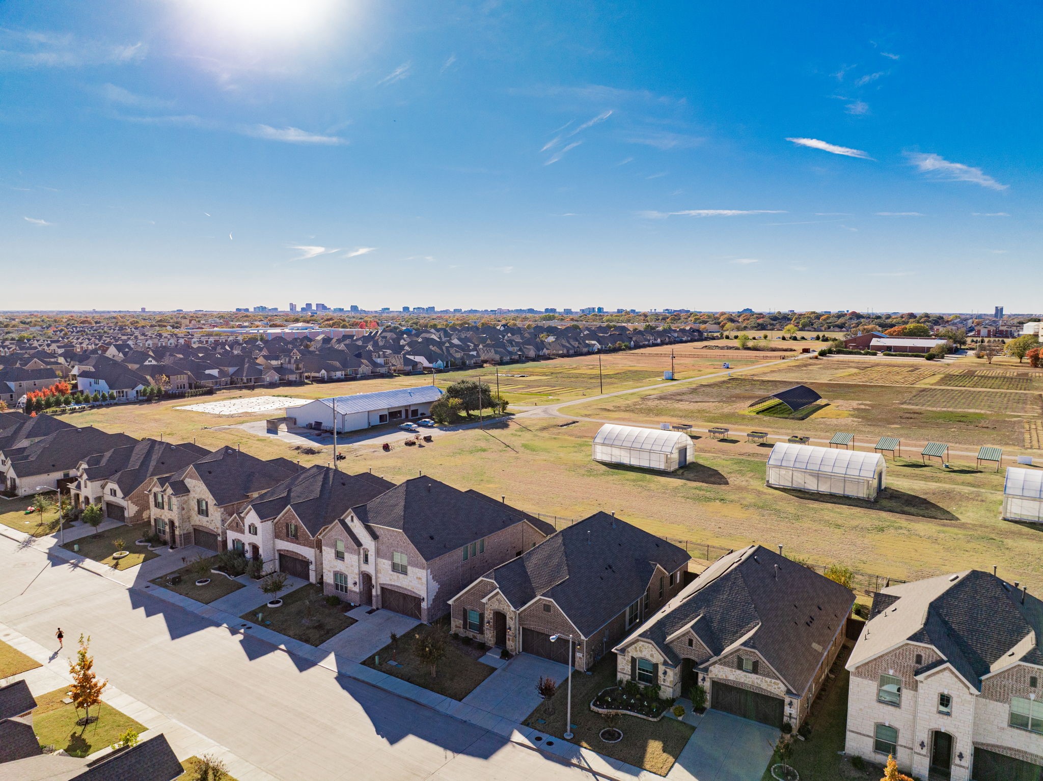 17311 Texas Pistache Drive