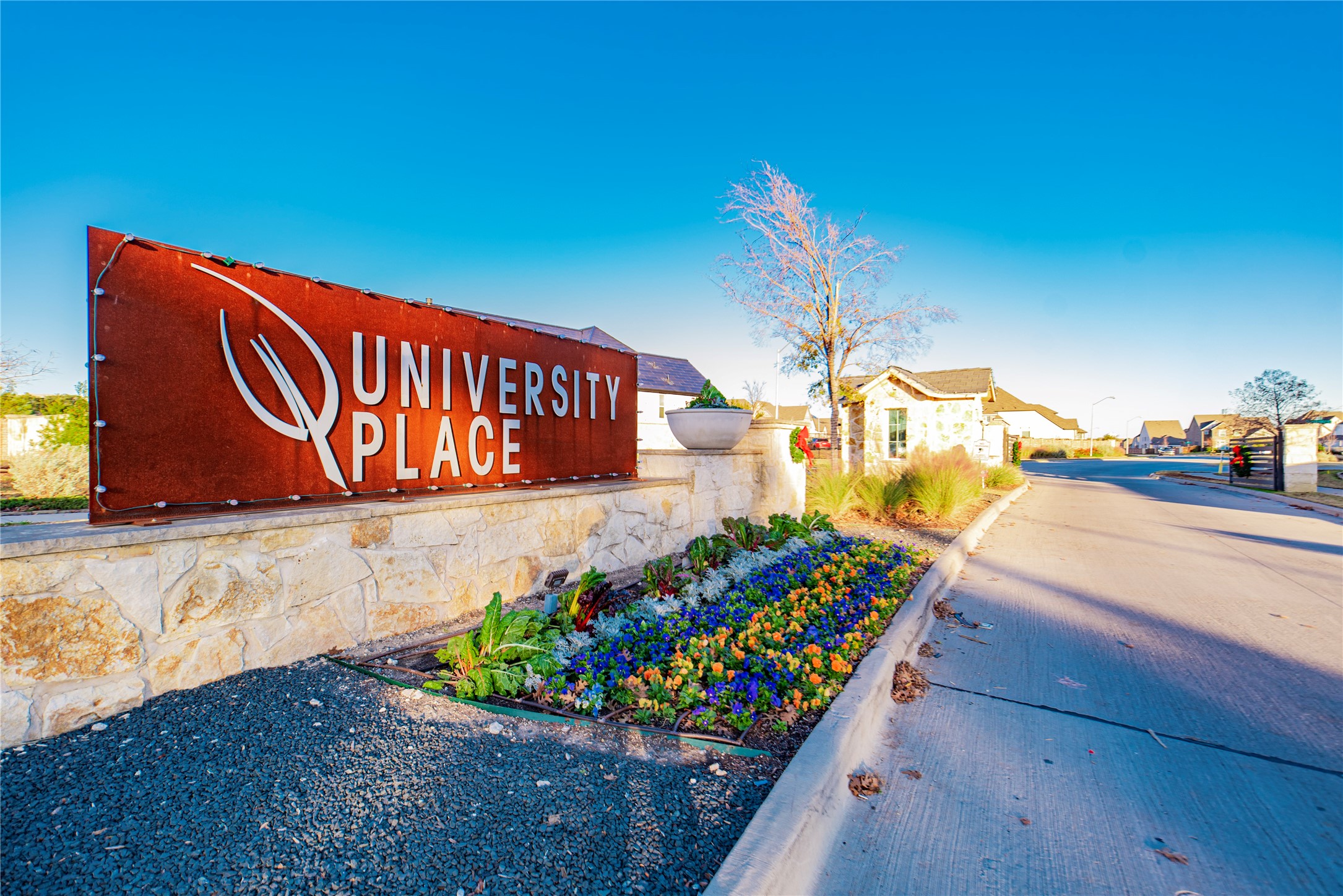 17311 Texas Pistache Drive