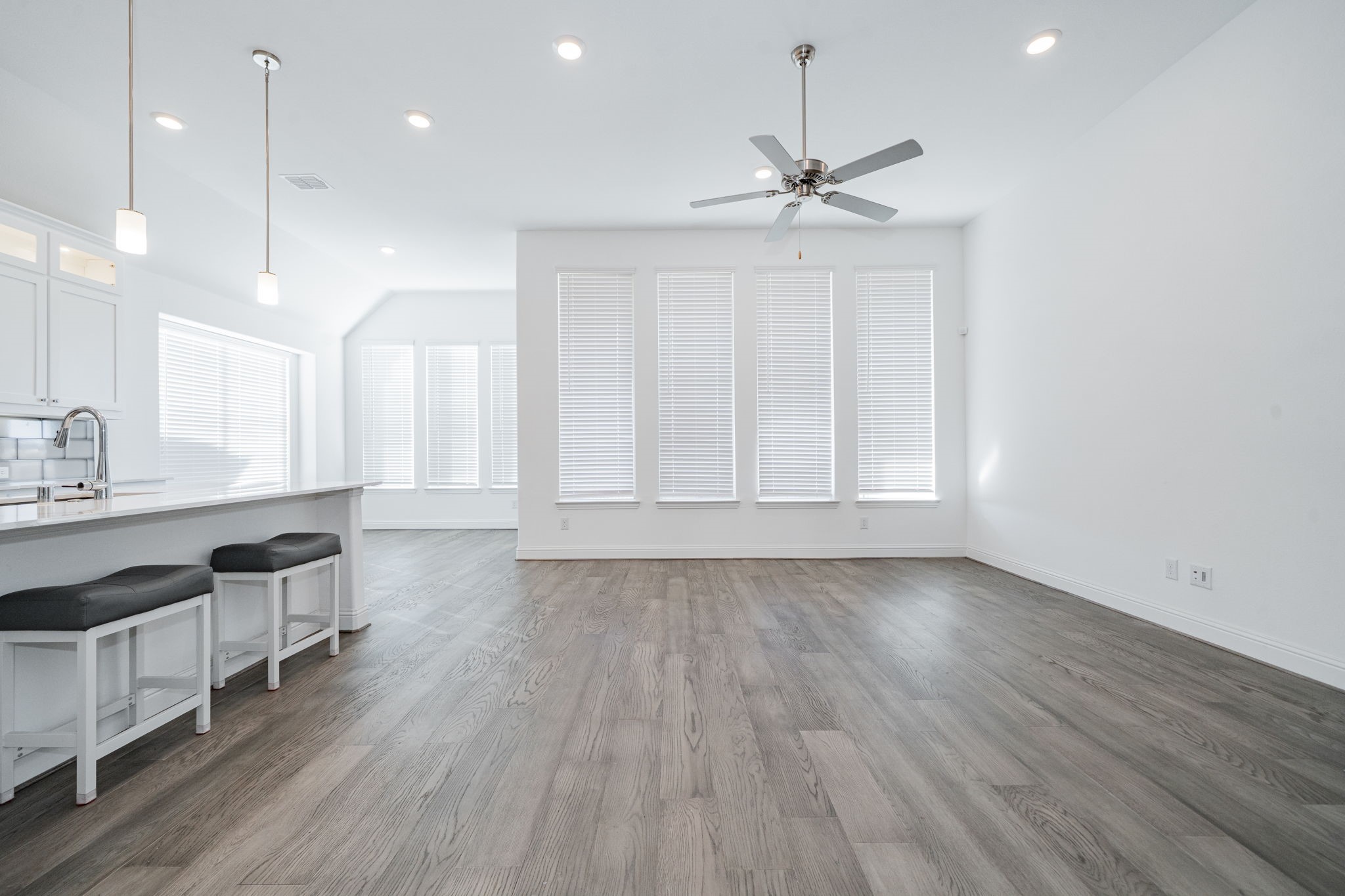 17311 Texas Pistache Drive