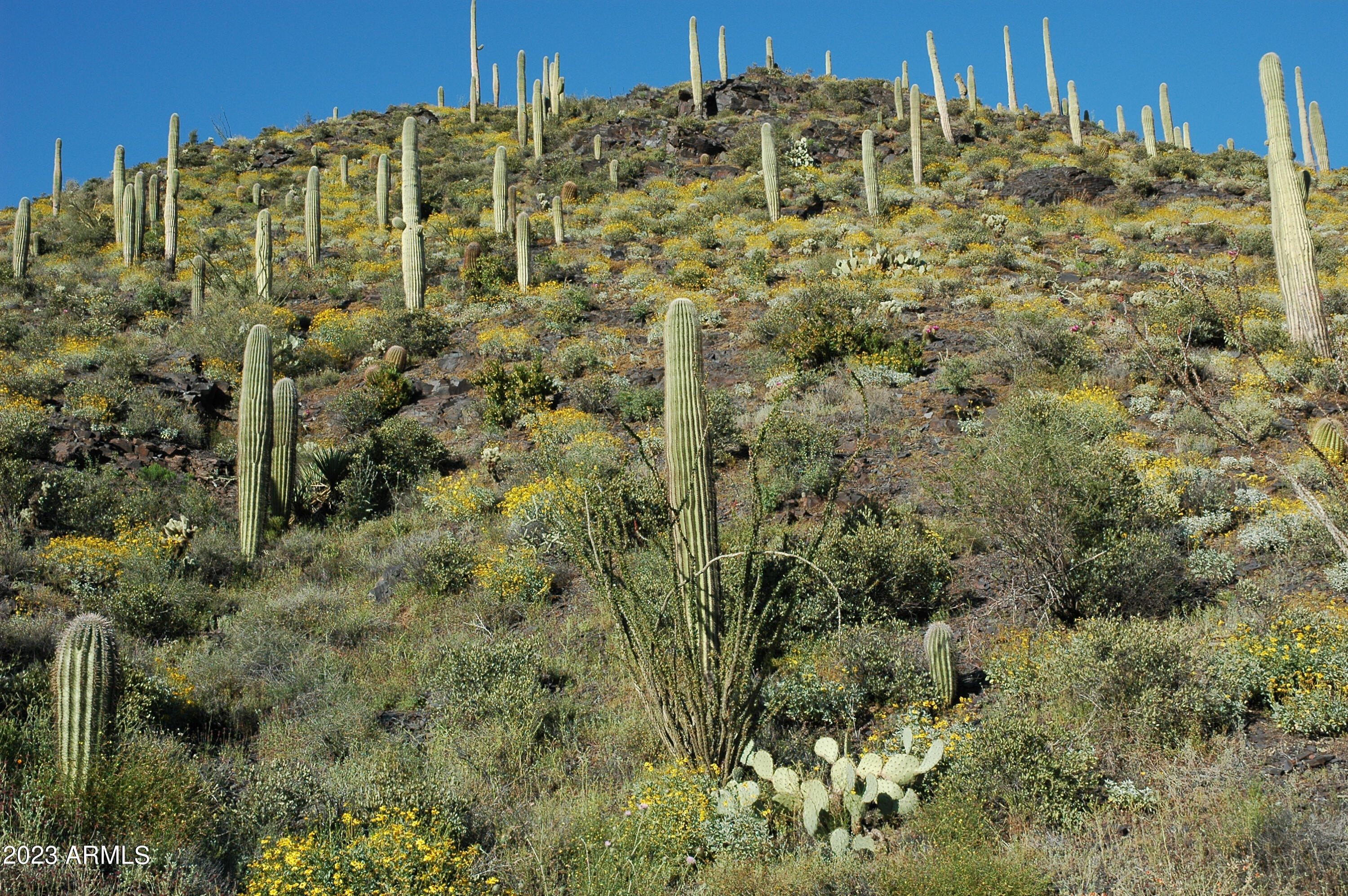 46000 N Fleming Springs Road, -