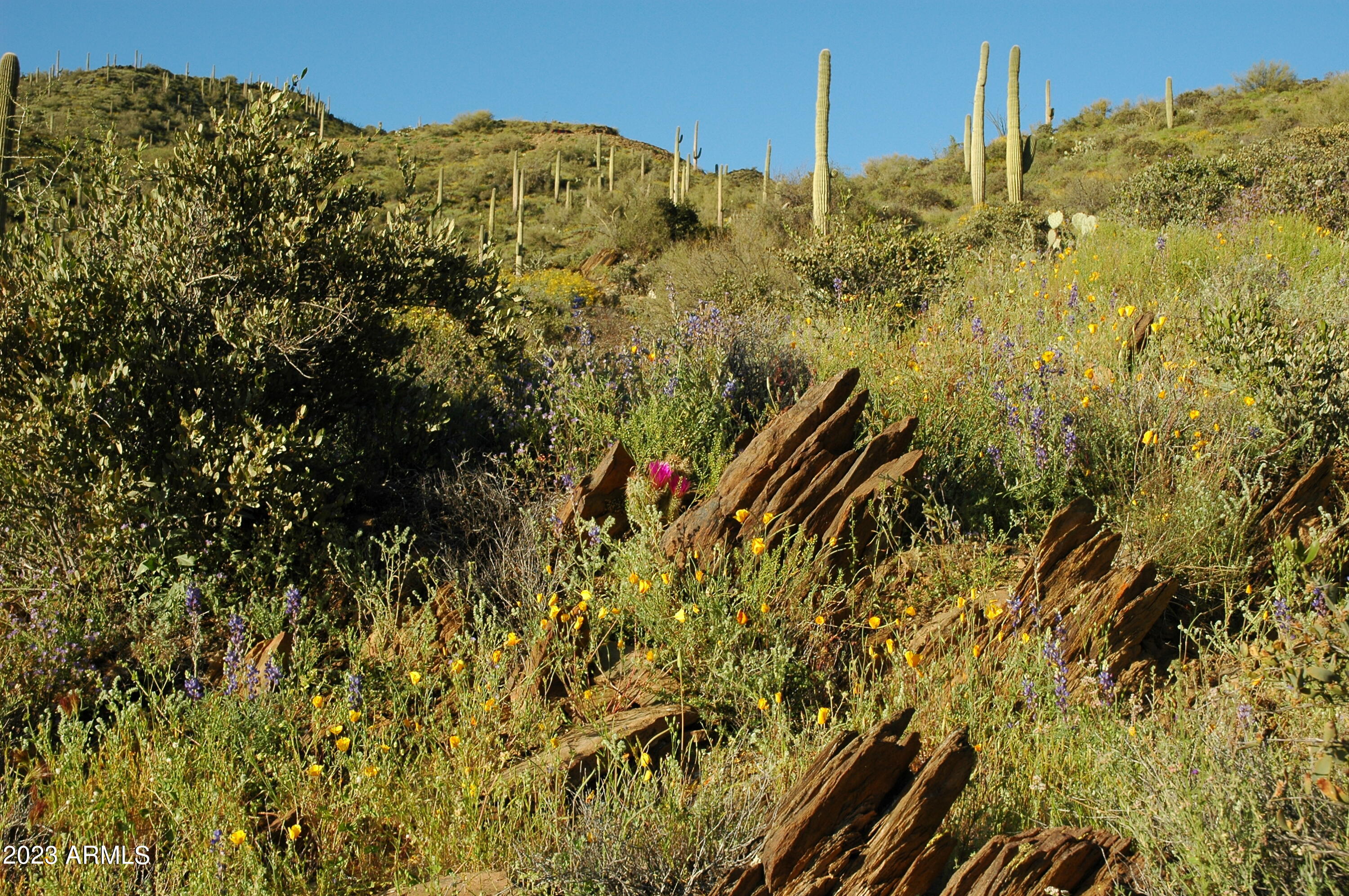 46000 N Fleming Springs Road, -