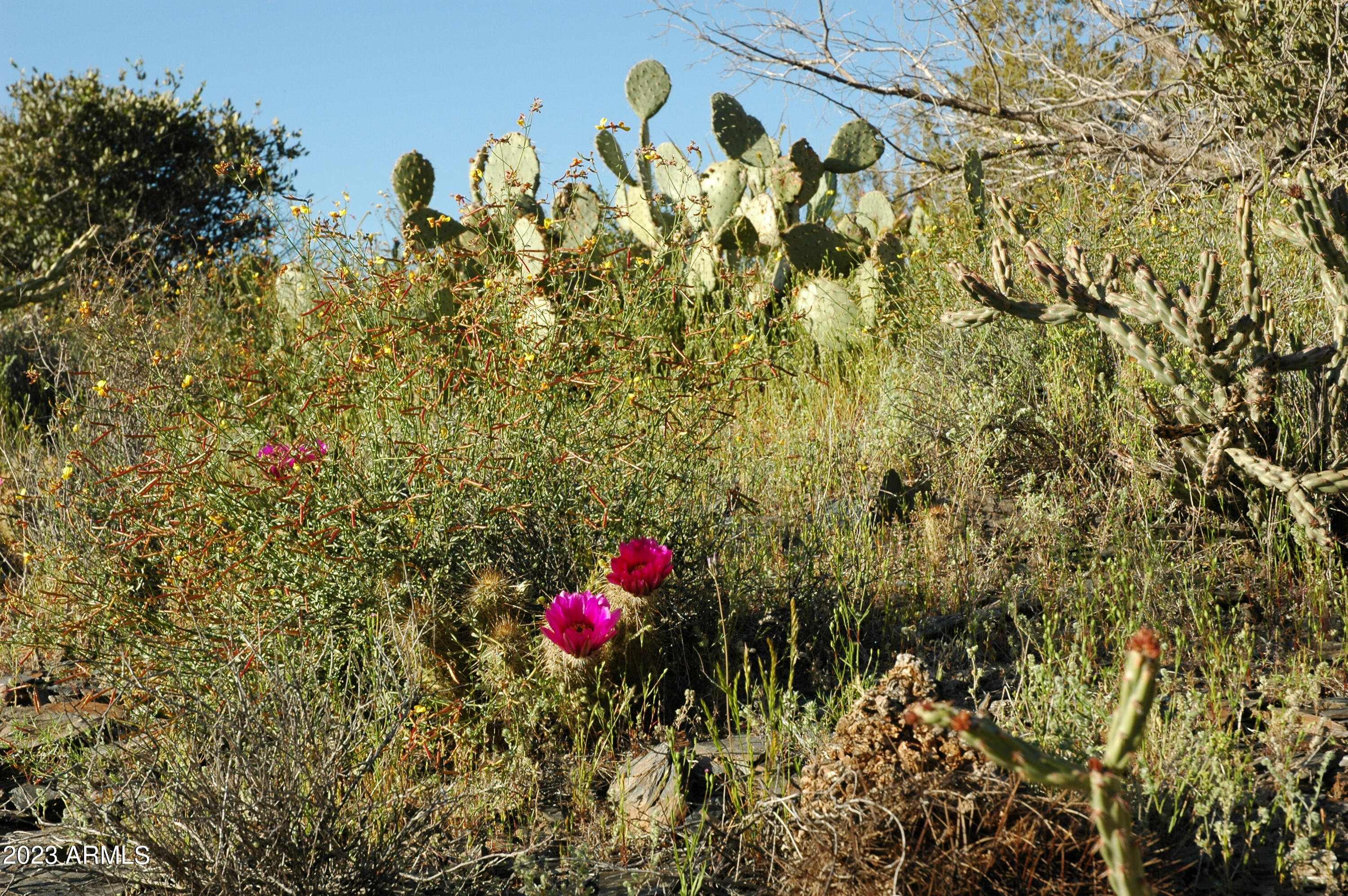 46000 N Fleming Springs Road, -