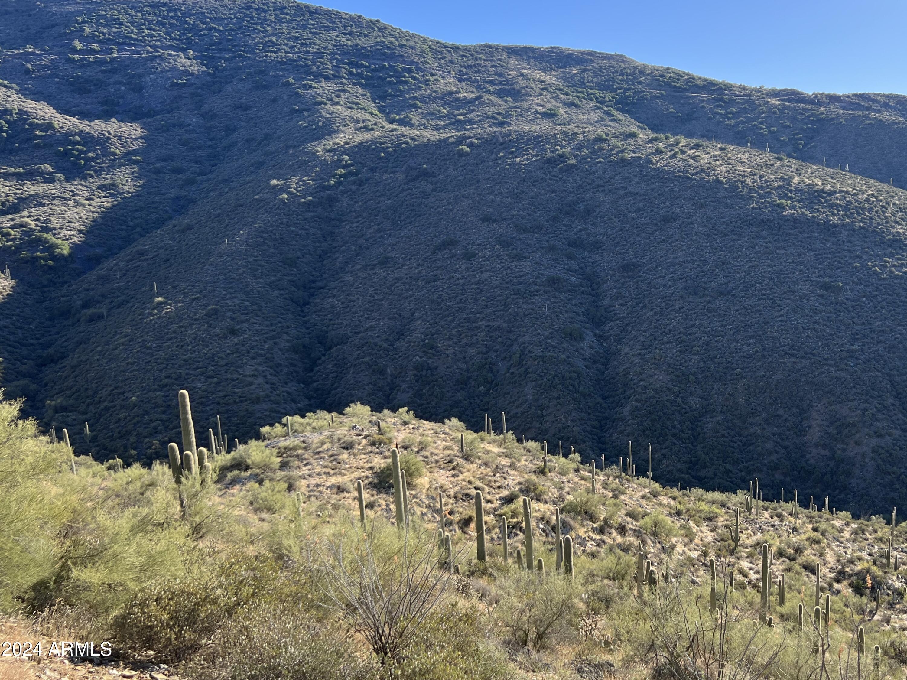 46000 N Fleming Springs Road, -