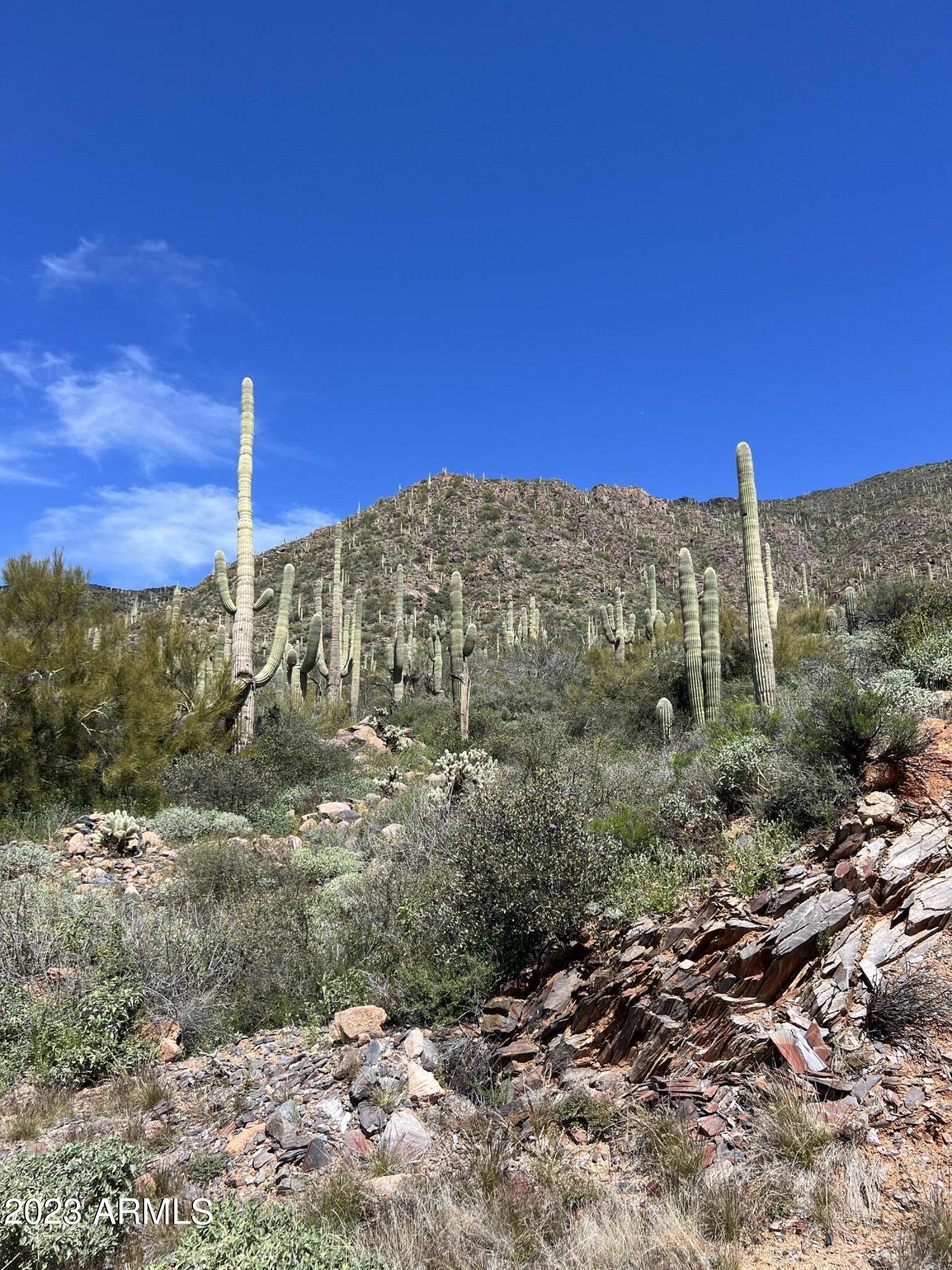 46000 N Fleming Springs Road, -