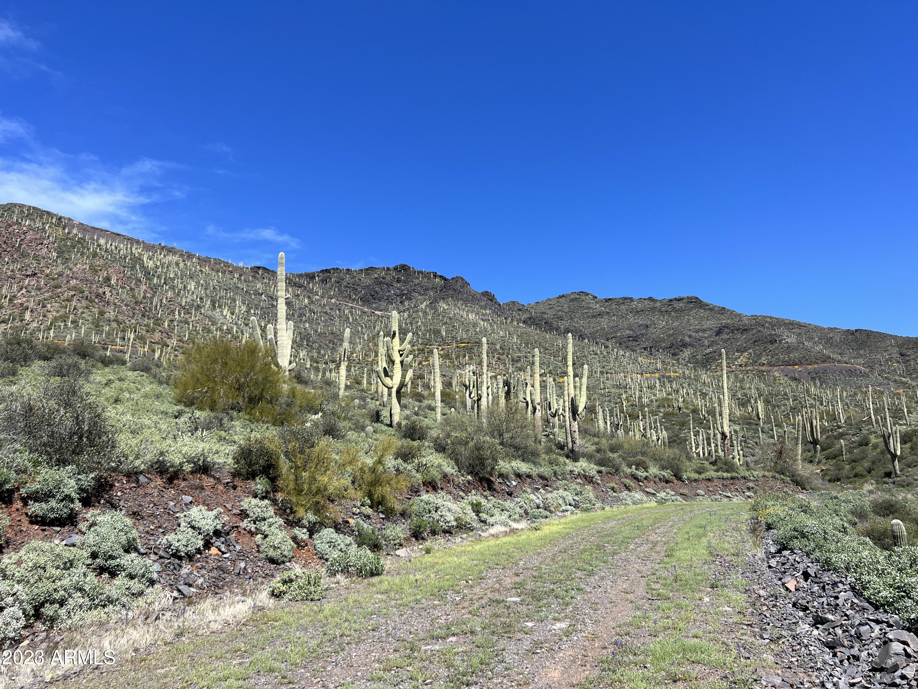 46000 N Fleming Springs Road, -