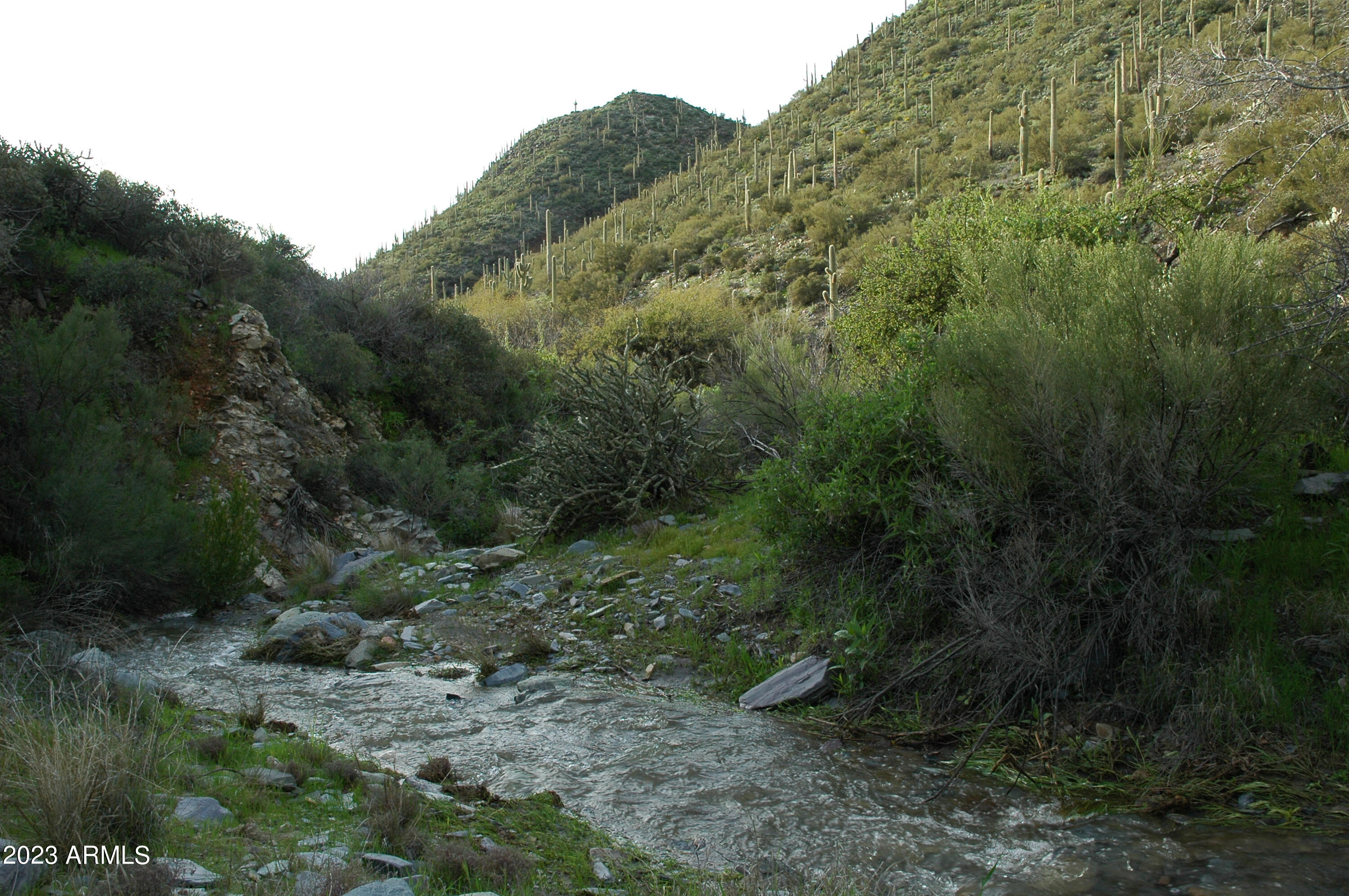 46000 N Fleming Springs Road, -