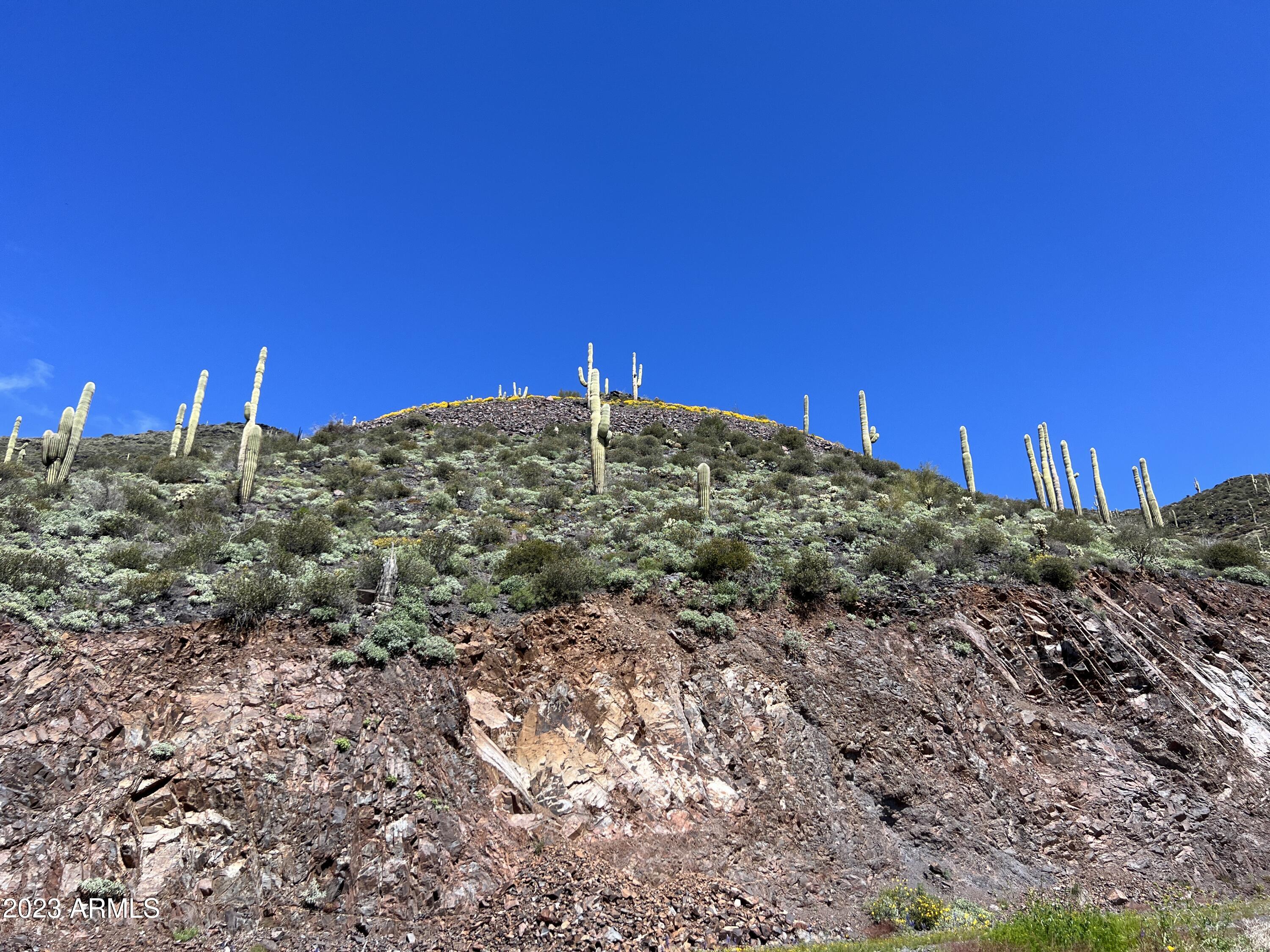 46000 N Fleming Springs Road, -