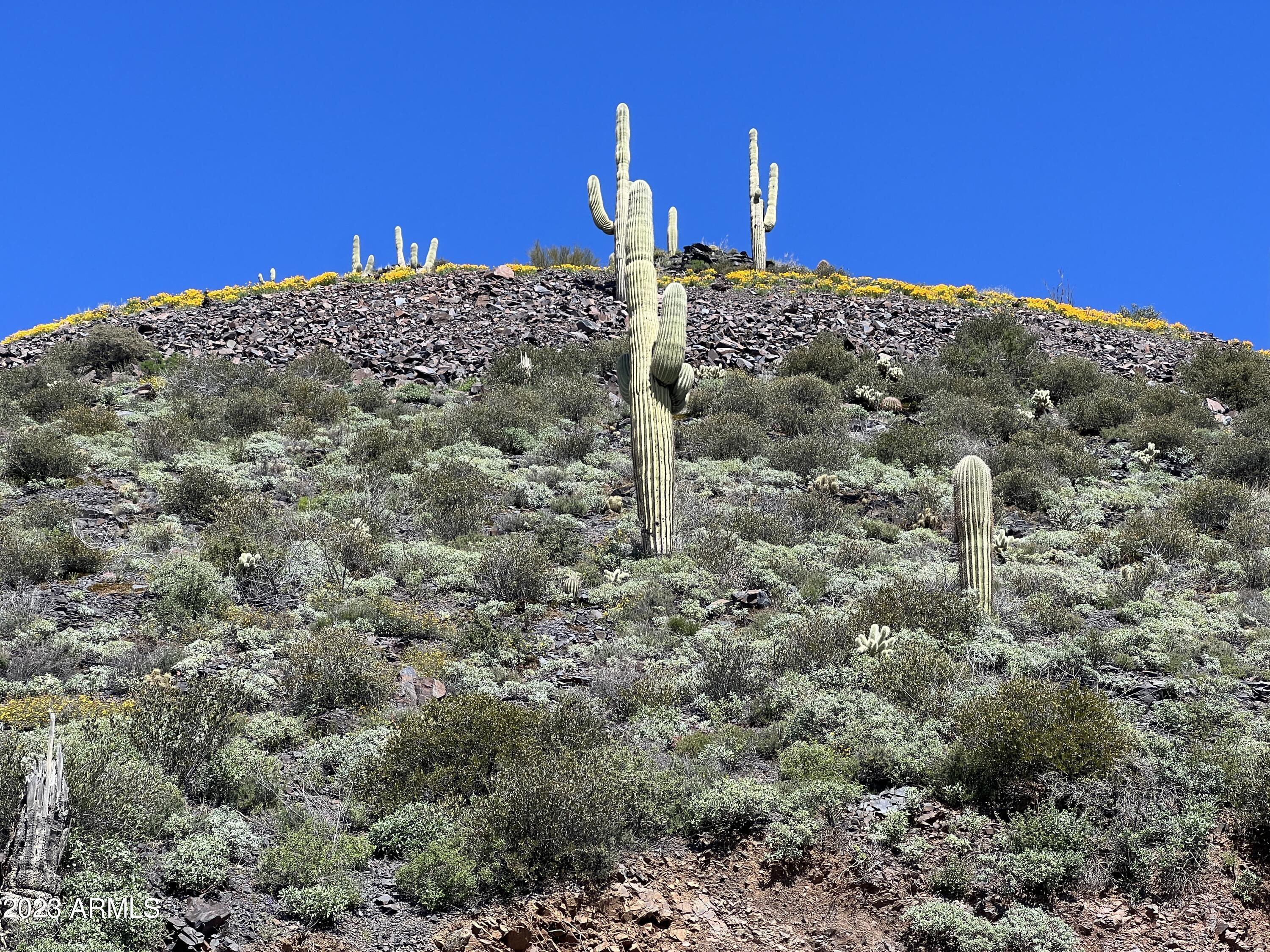 46000 N Fleming Springs Road, -