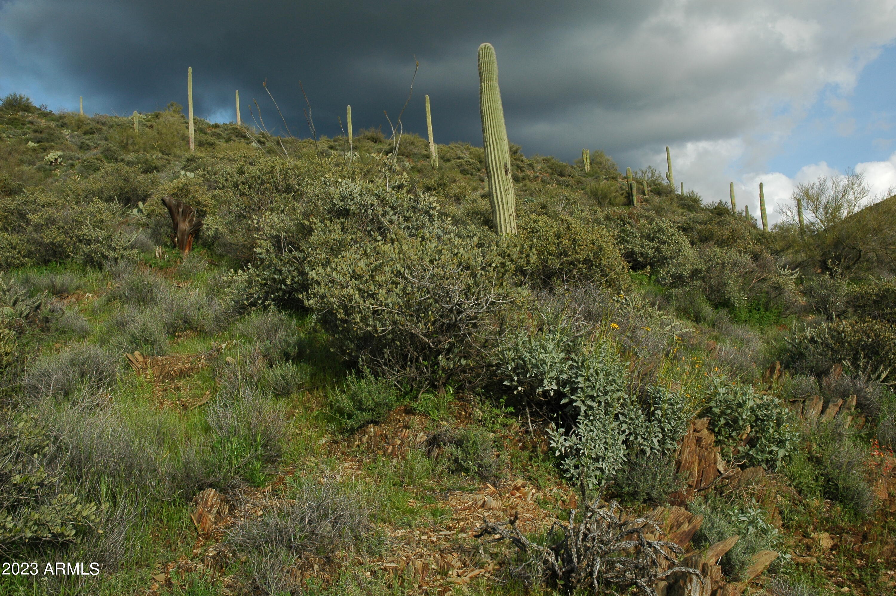 46000 N Fleming Springs Road, -