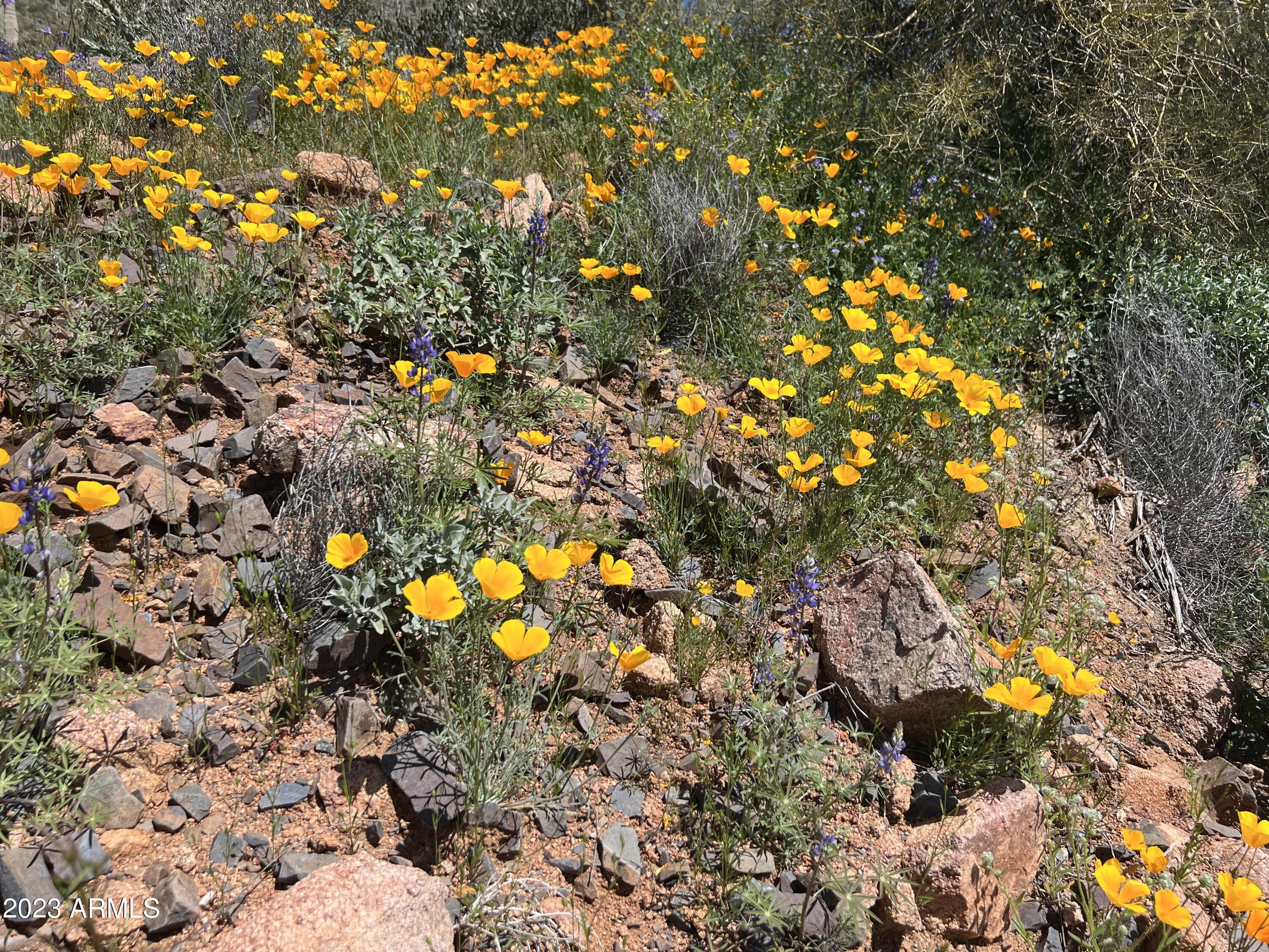 46000 N Fleming Springs Road, -