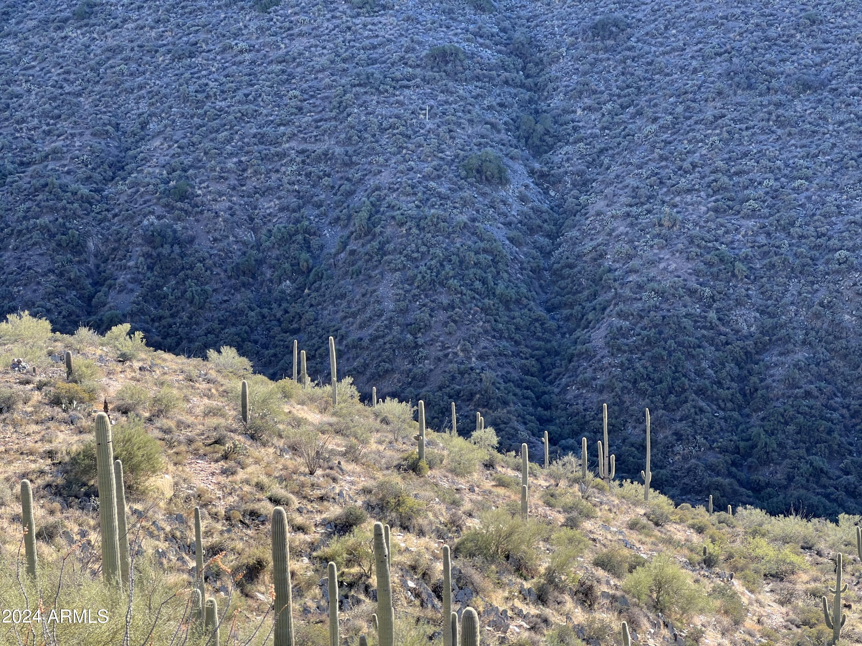 46000 N Fleming Springs Road, -