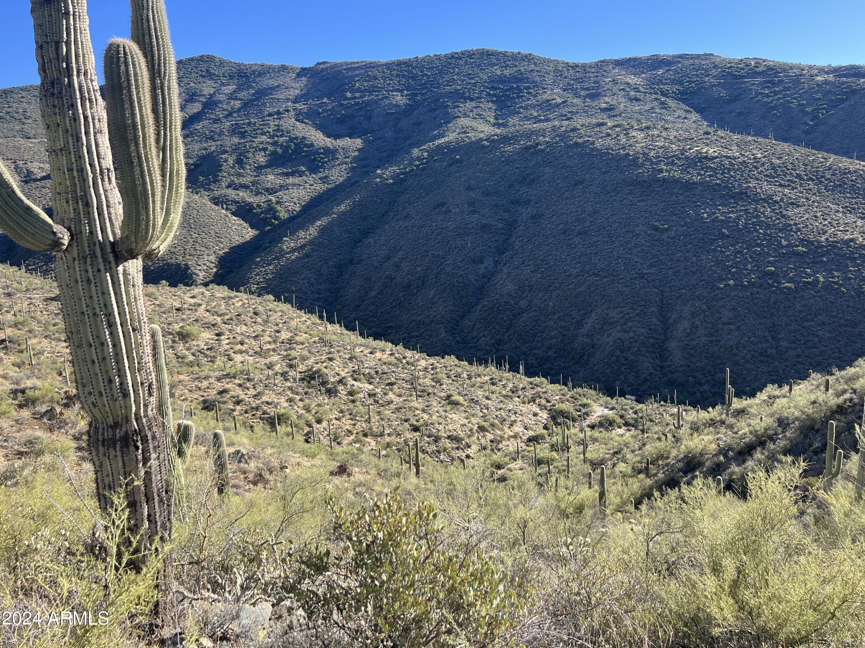 46000 N Fleming Springs Road, -