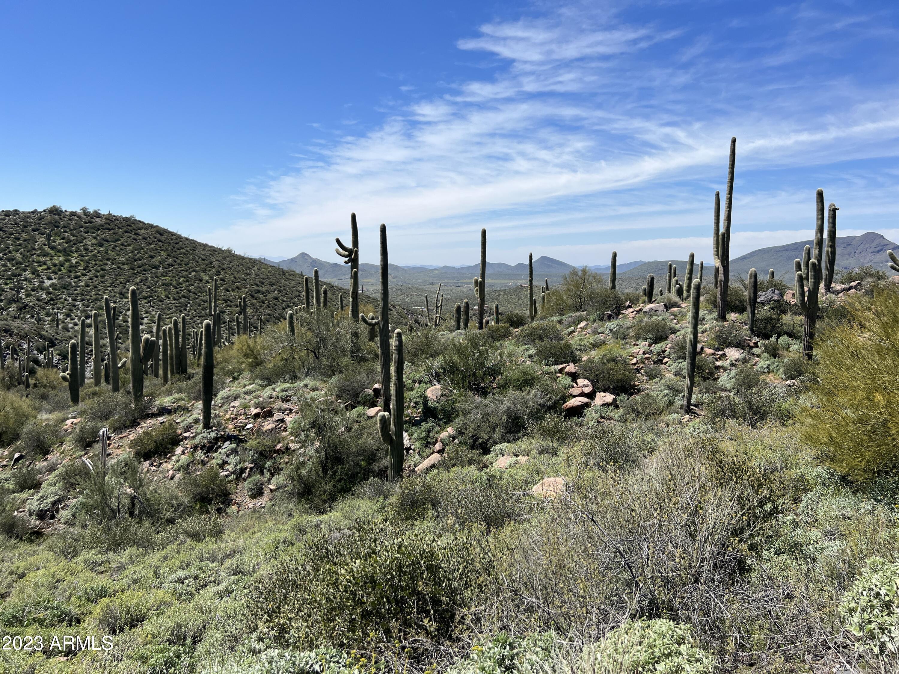 46000 N Fleming Springs Road, -