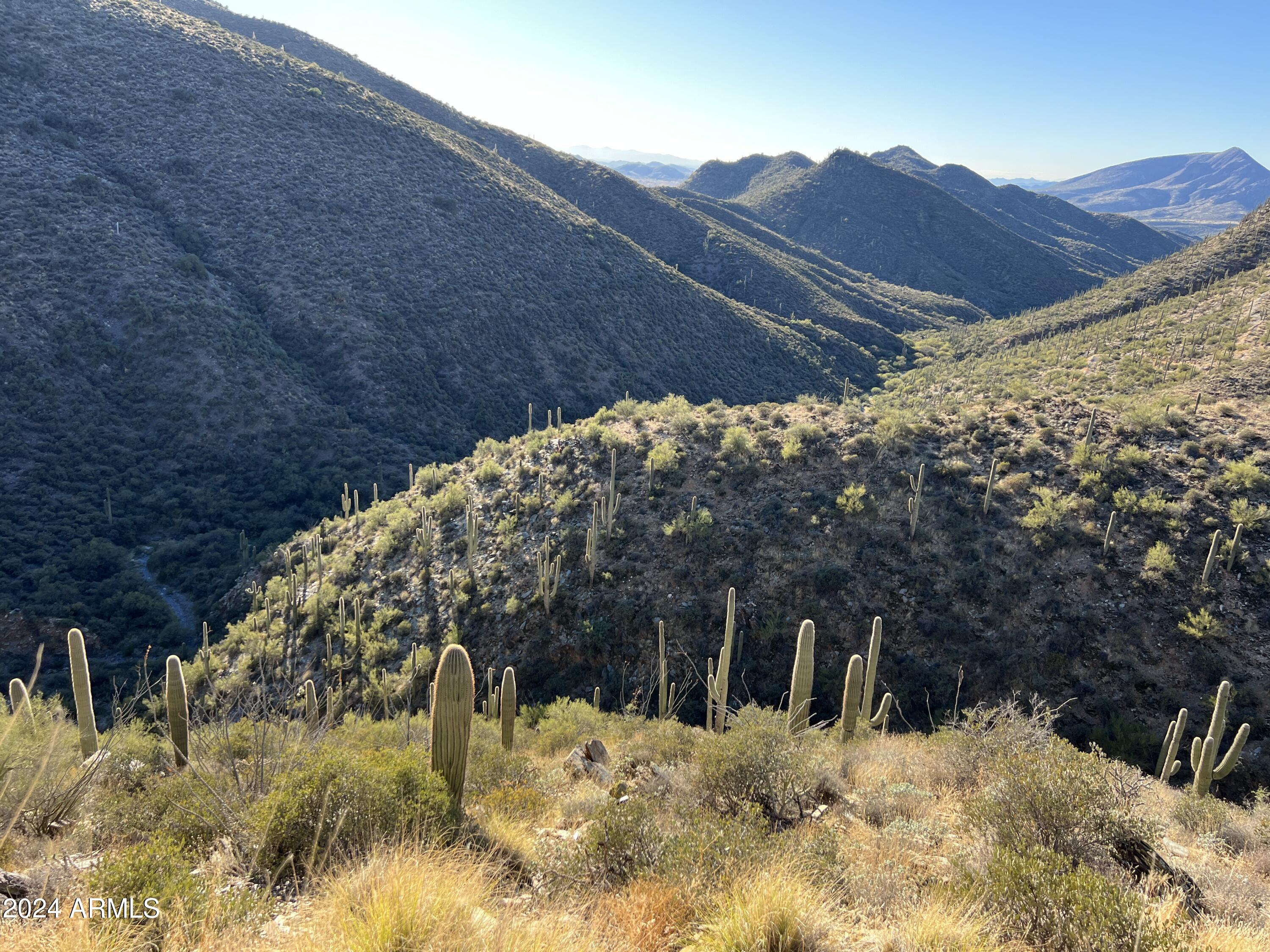 46000 N Fleming Springs Road, -