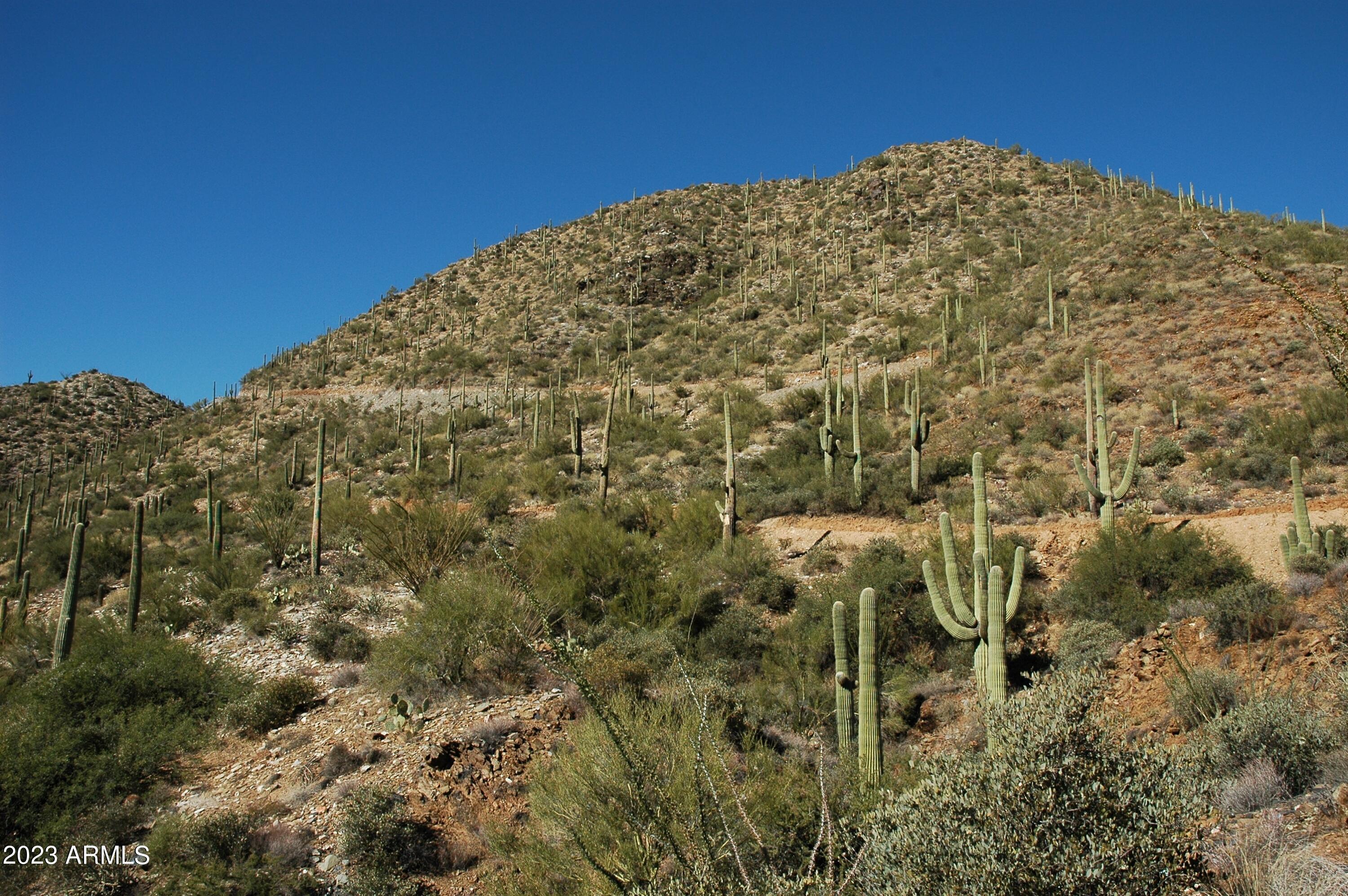 46000 N Fleming Springs Road, -