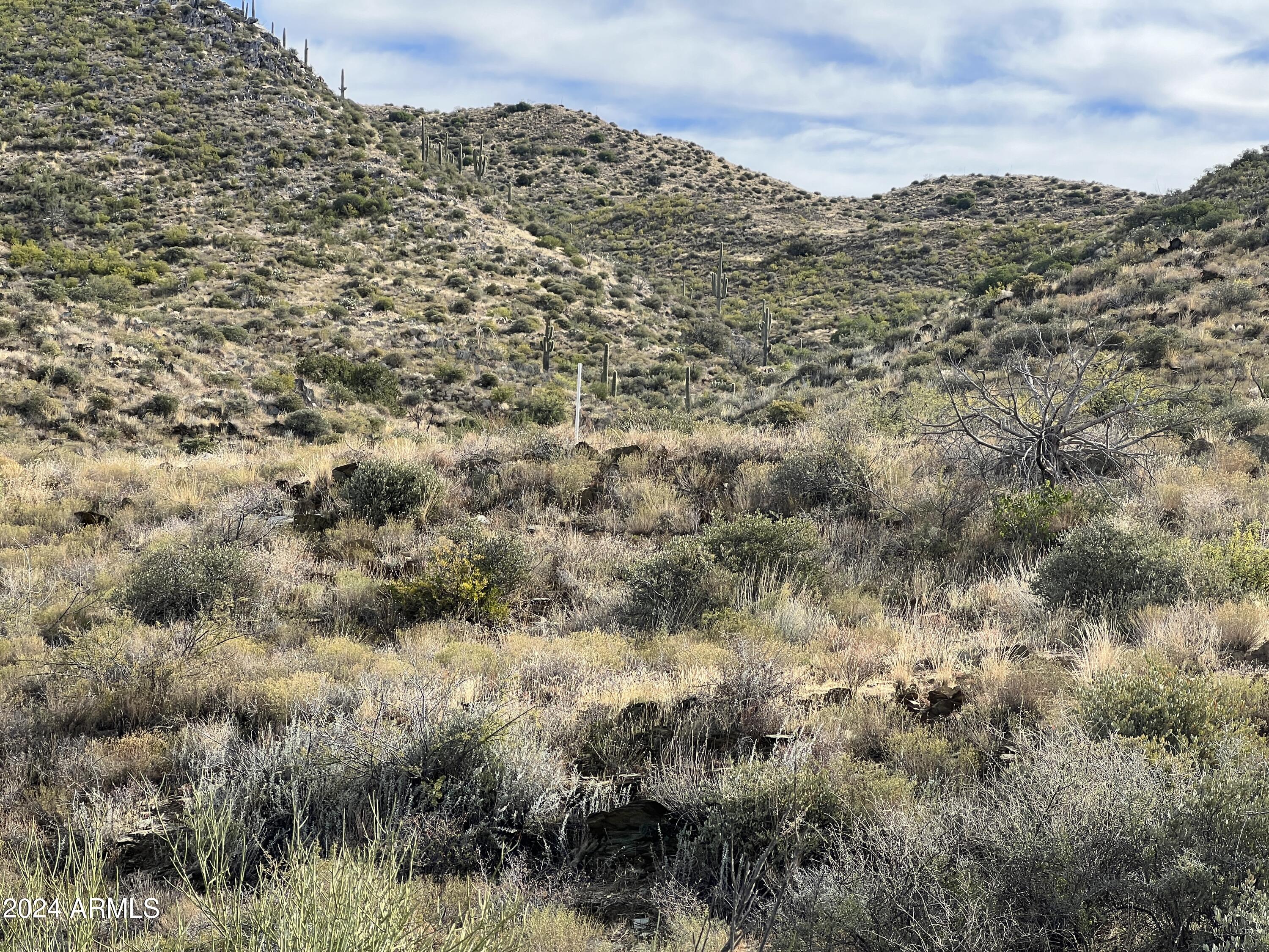 46000 N Fleming Springs Road, -